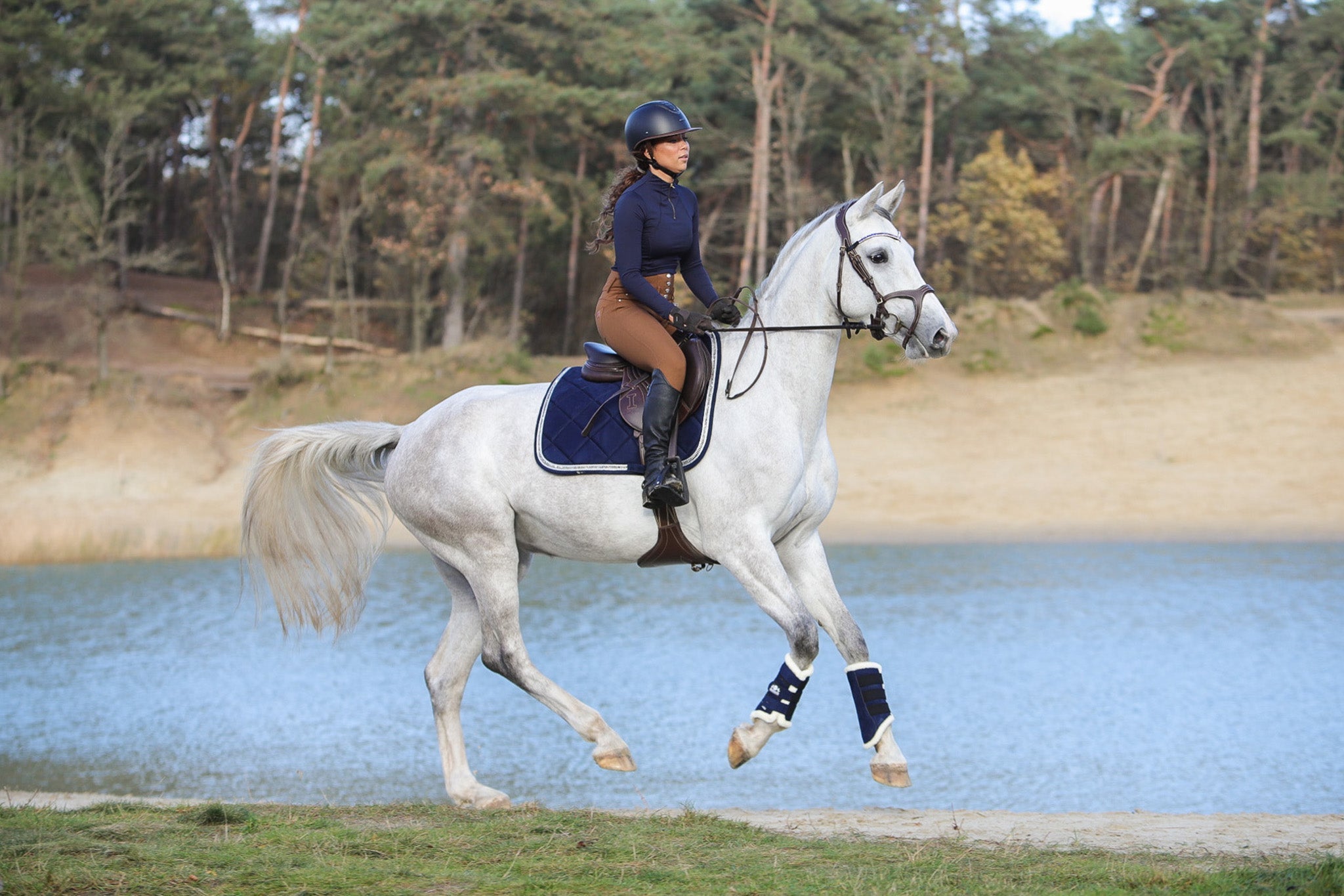 Equestroom Blue Astra Saddle Pad - Equestroom - Equiluxe Tack