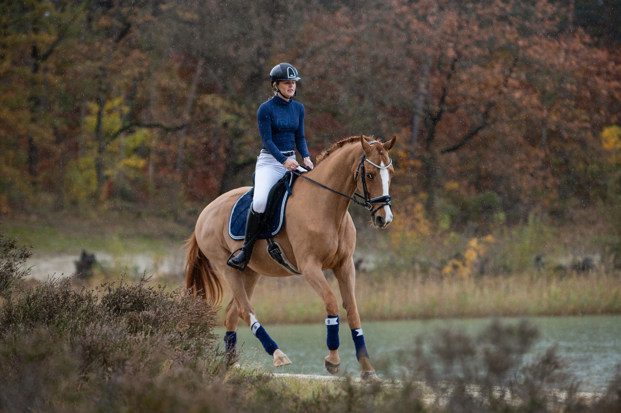 Equestroom Blue Astra Saddle Pad - Equestroom - Equiluxe Tack