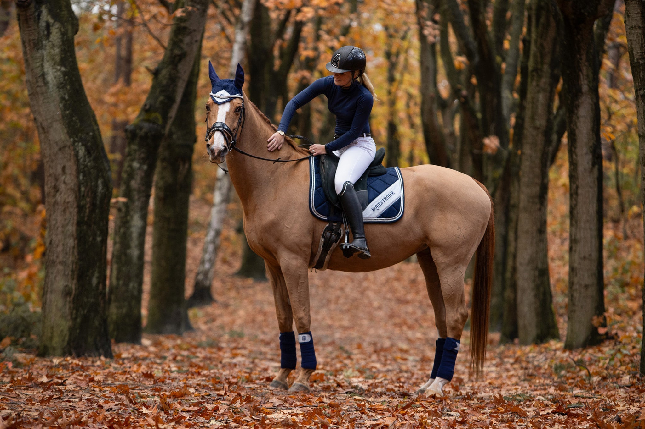 Equestroom Blue Astra Saddle Pad - Equestroom - Equiluxe Tack