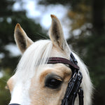 Equestroom Burgundy Browband - Equestroom - Equiluxe Tack