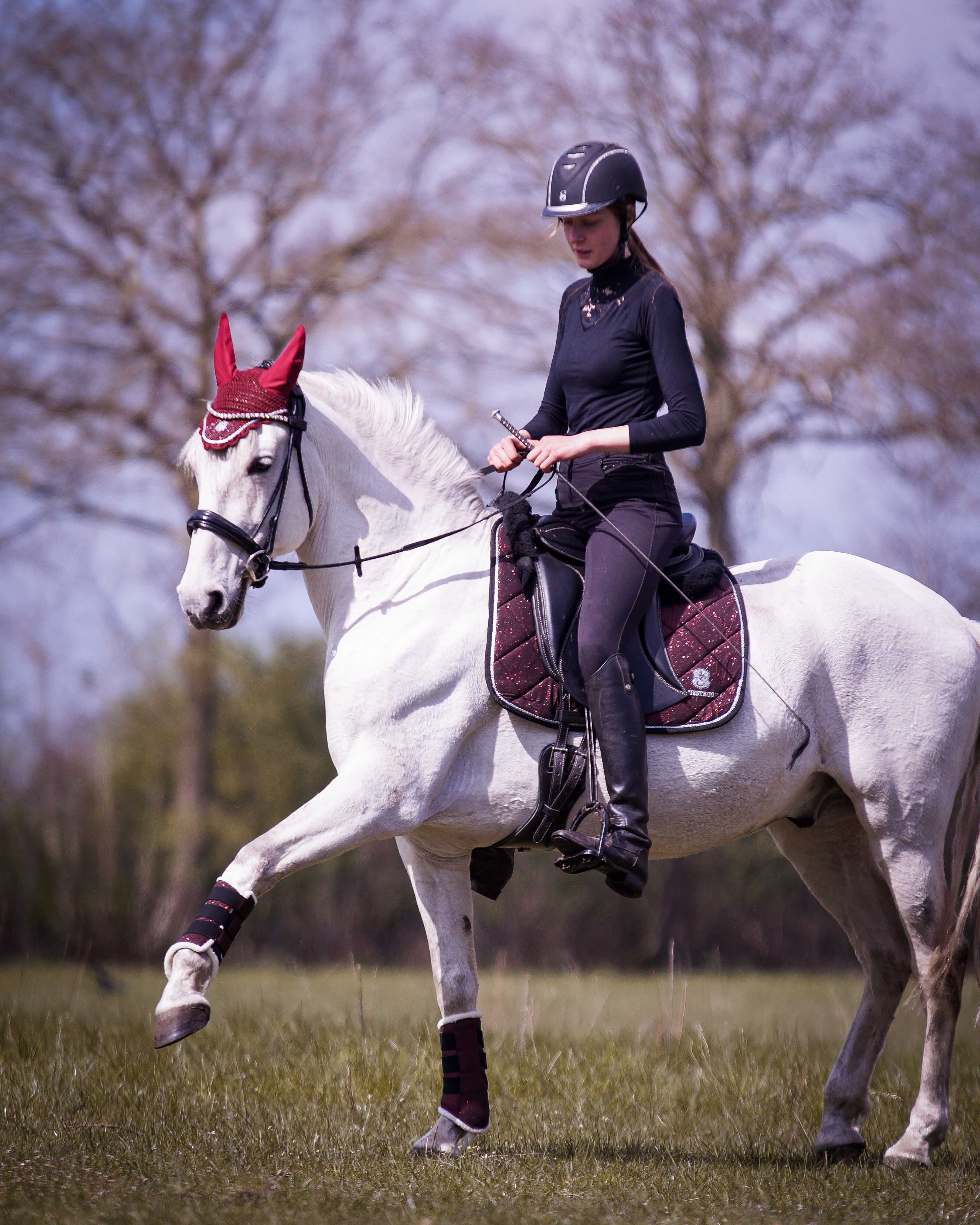 Equestroom Burgundy Brushing Boots - Equestroom - Equiluxe Tack