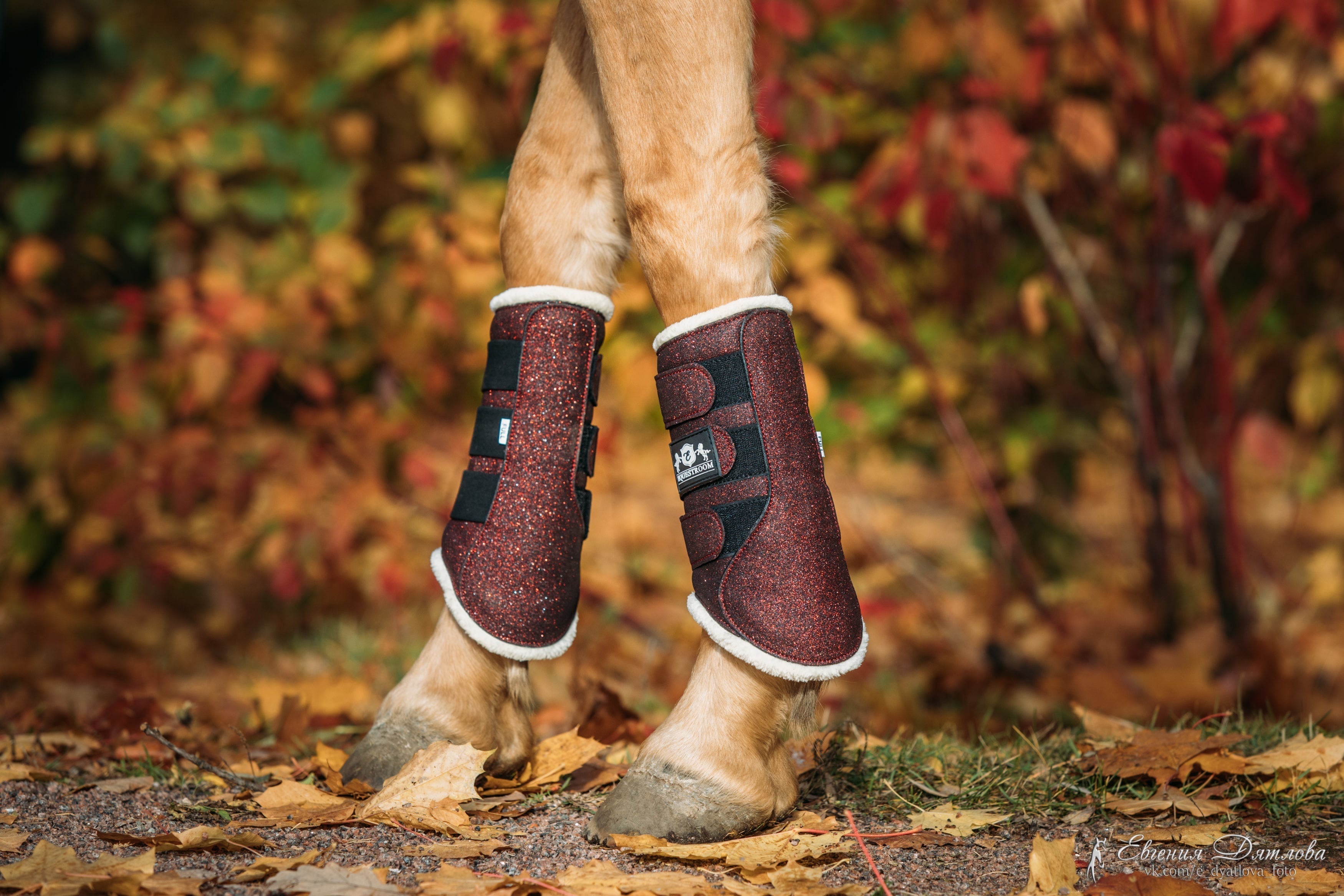 Equestroom Burgundy Brushing Boots - Equestroom - Equiluxe Tack