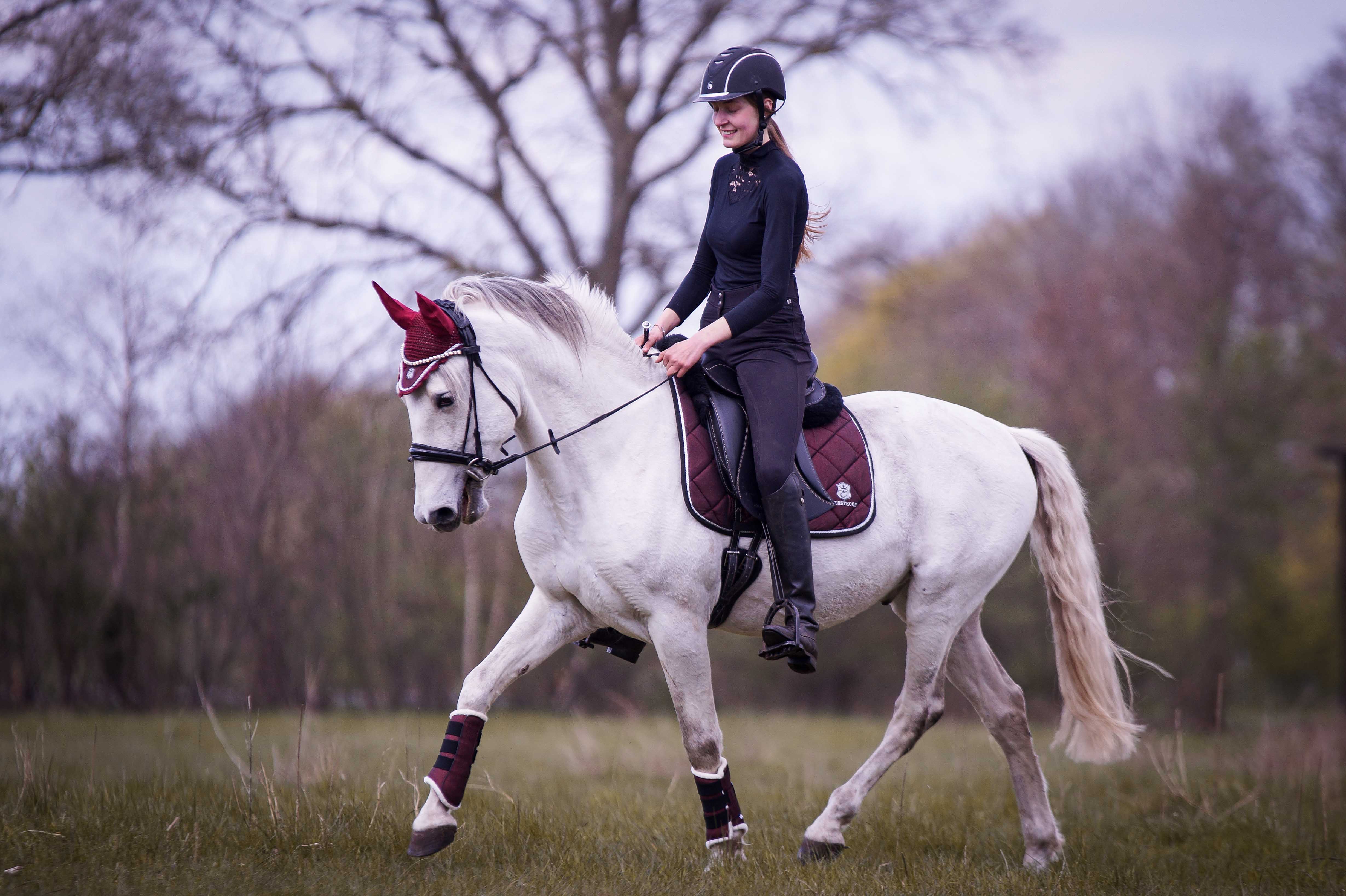 Equestroom Burgundy Brushing Boots - Equestroom - Equiluxe Tack