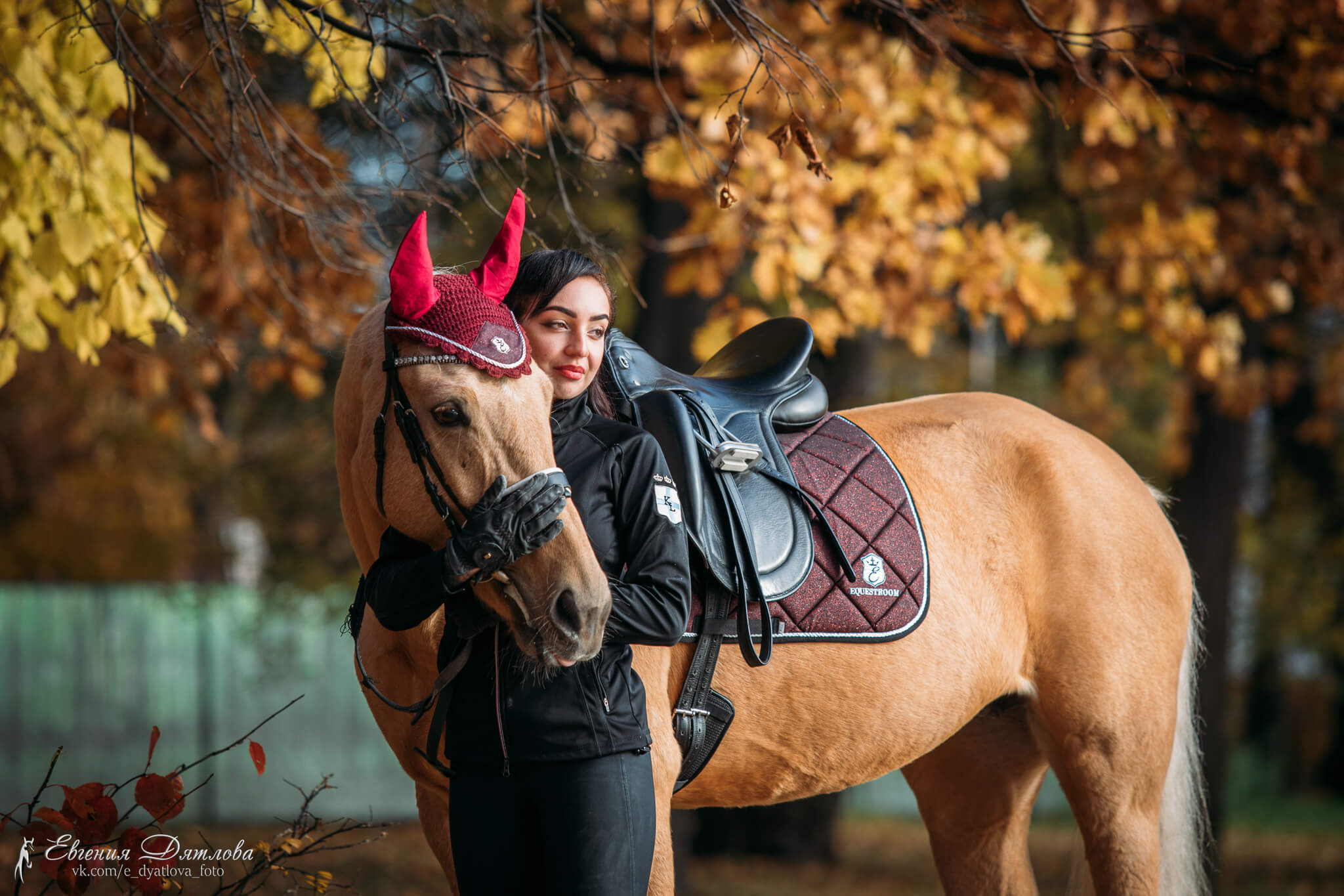 Equestroom Burgundy Saddle Pad - Equestroom - Equiluxe Tack