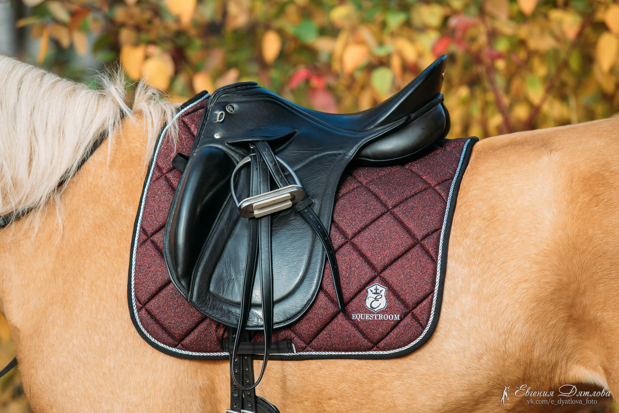 Equestroom Burgundy Saddle Pad - Equestroom - Equiluxe Tack