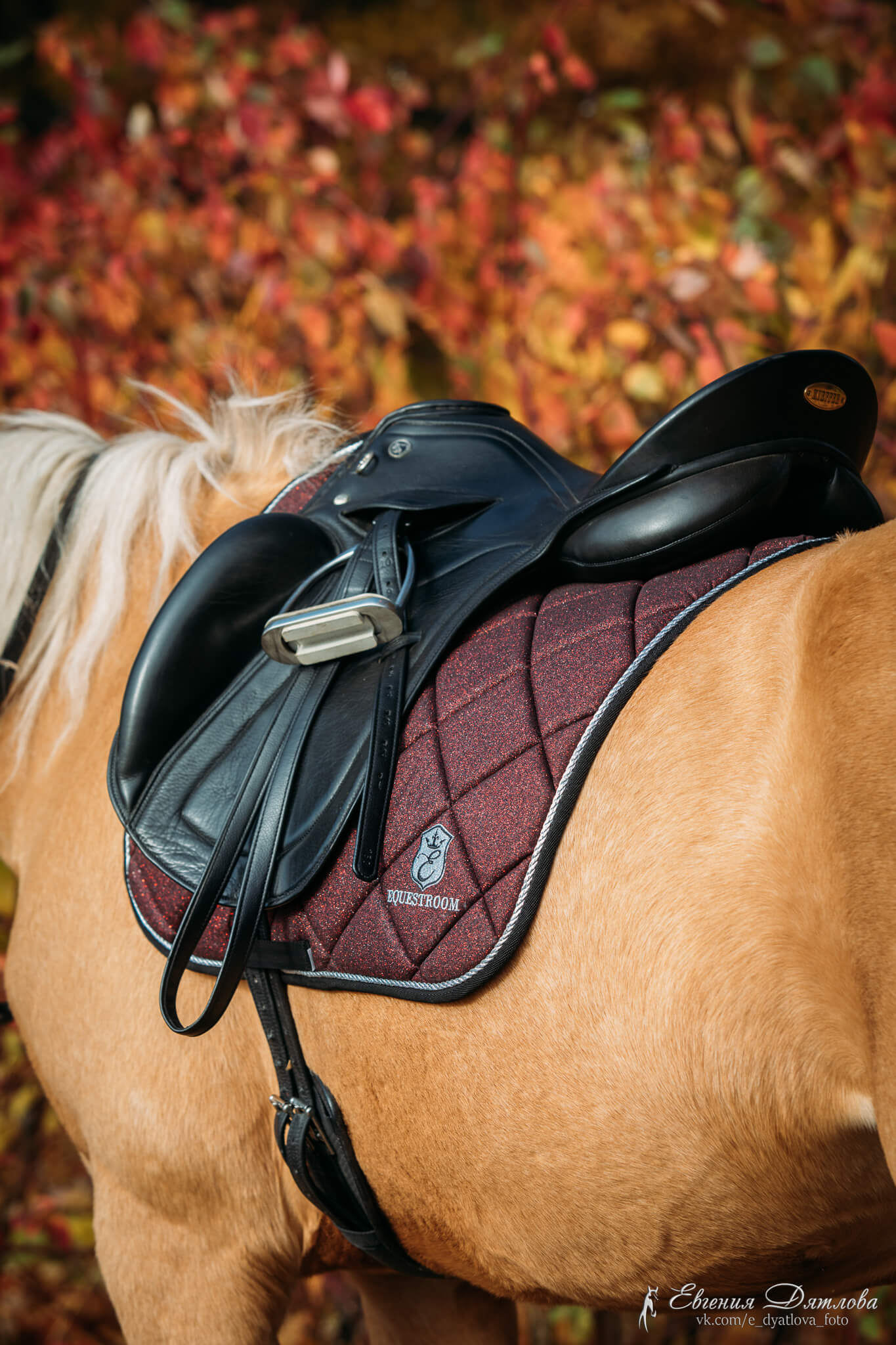 Equestroom Burgundy Saddle Pad - Equestroom - Equiluxe Tack