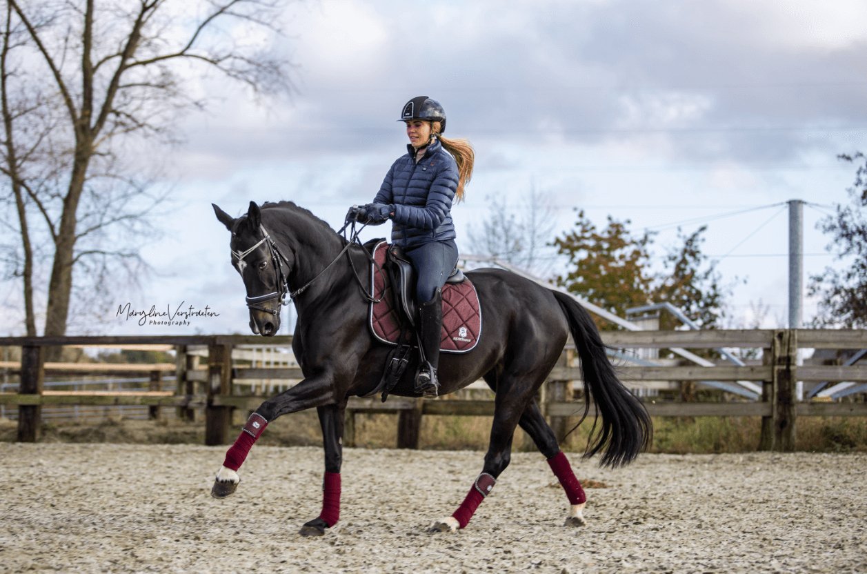 Equestroom Burgundy Saddle Pad Set - Equestroom - Equiluxe Tack