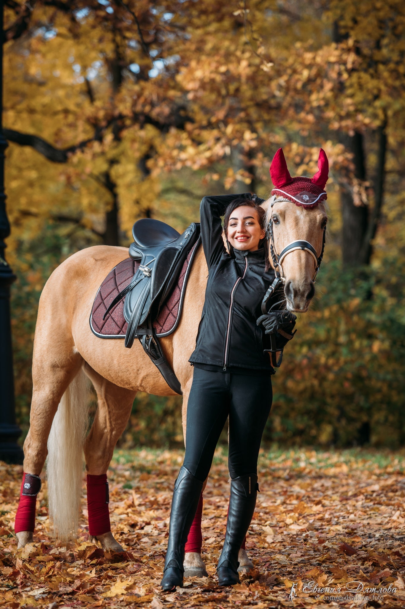 Equestroom Burgundy Saddle Pad Set - Equestroom - Equiluxe Tack