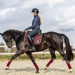 Equestroom Burgundy Saddle Pad Set - Equestroom - Equiluxe Tack