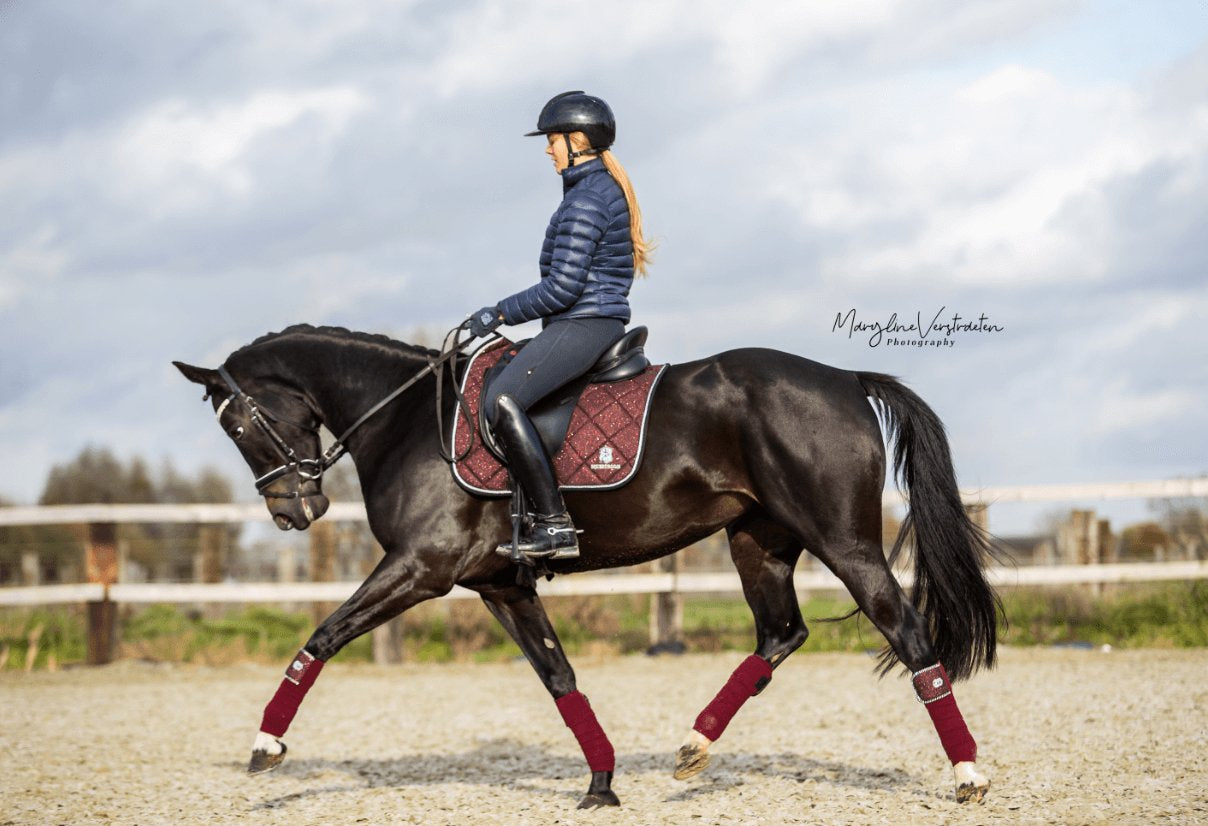 Equestroom Burgundy Saddle Pad Set - Equestroom - Equiluxe Tack