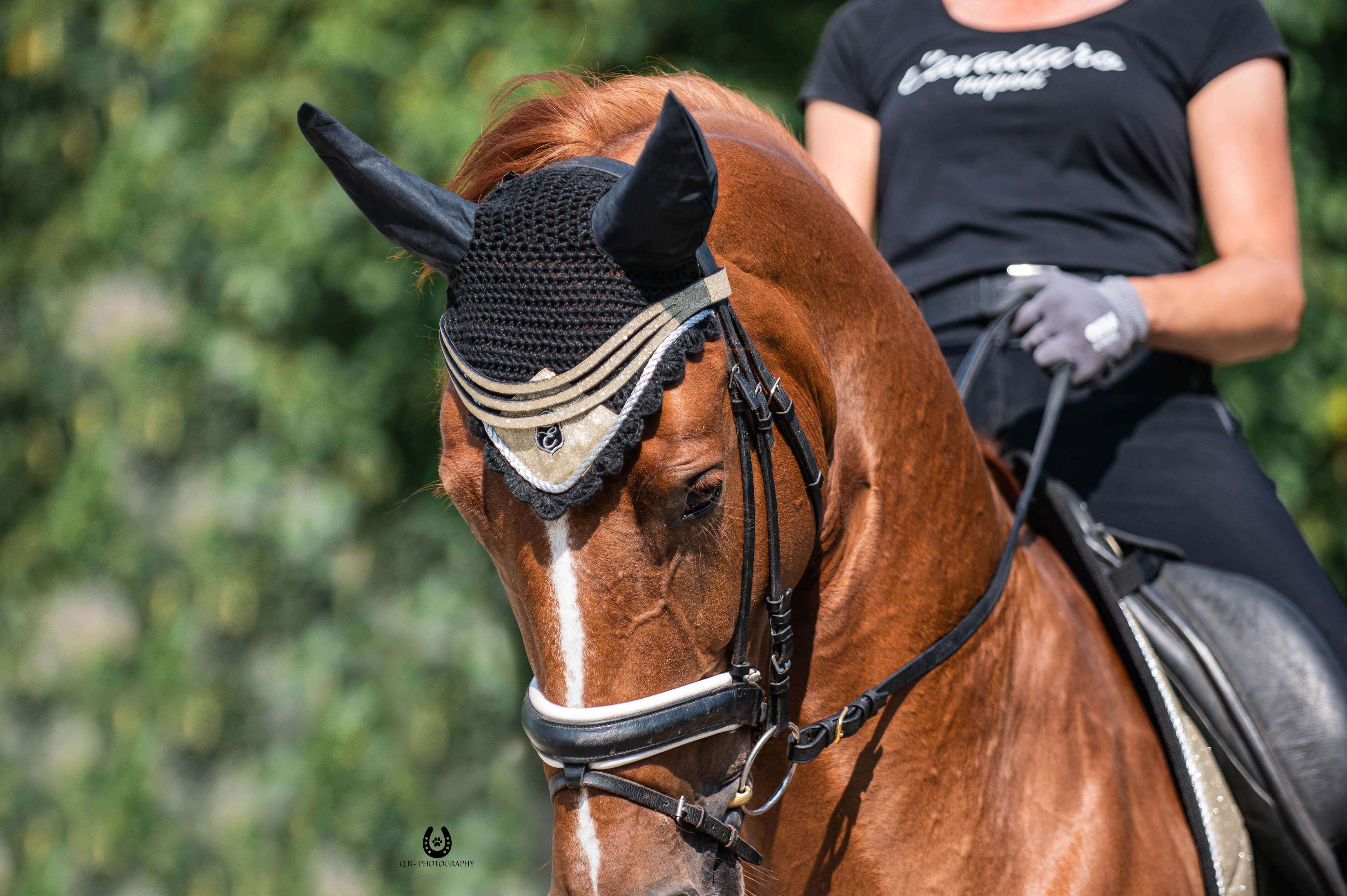 Equestroom Champagne Fly Hat - Equestroom - Equiluxe Tack