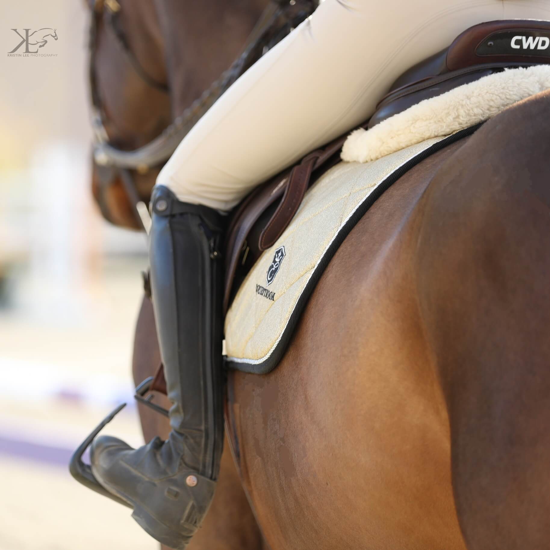 Equestroom Champagne Saddle Pad - Equestroom - Equiluxe Tack