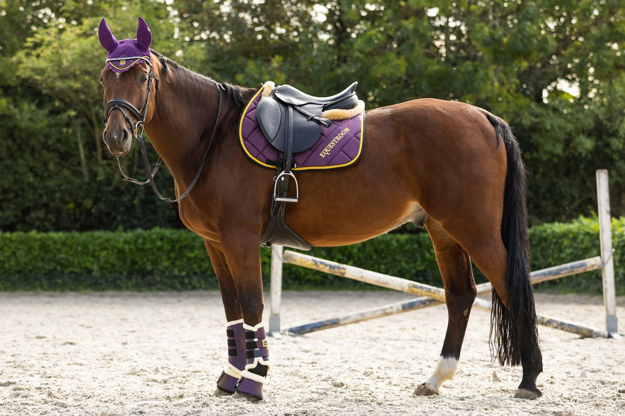 Equestroom Dark Orchid Brushing Boots - Equestroom - Equiluxe Tack