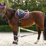 Equestroom Dark Orchid Brushing Boots - Equestroom - Equiluxe Tack