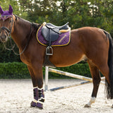 Equestroom Dark Orchid Brushing Boots - Equestroom - Equiluxe Tack