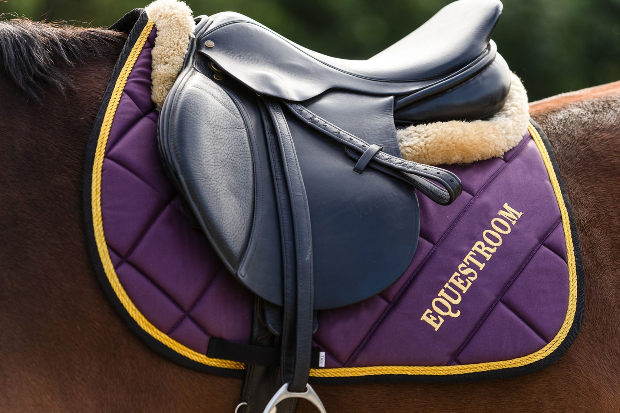 Equestroom Dark Orchid Saddle Pad - Equestroom - Equiluxe Tack