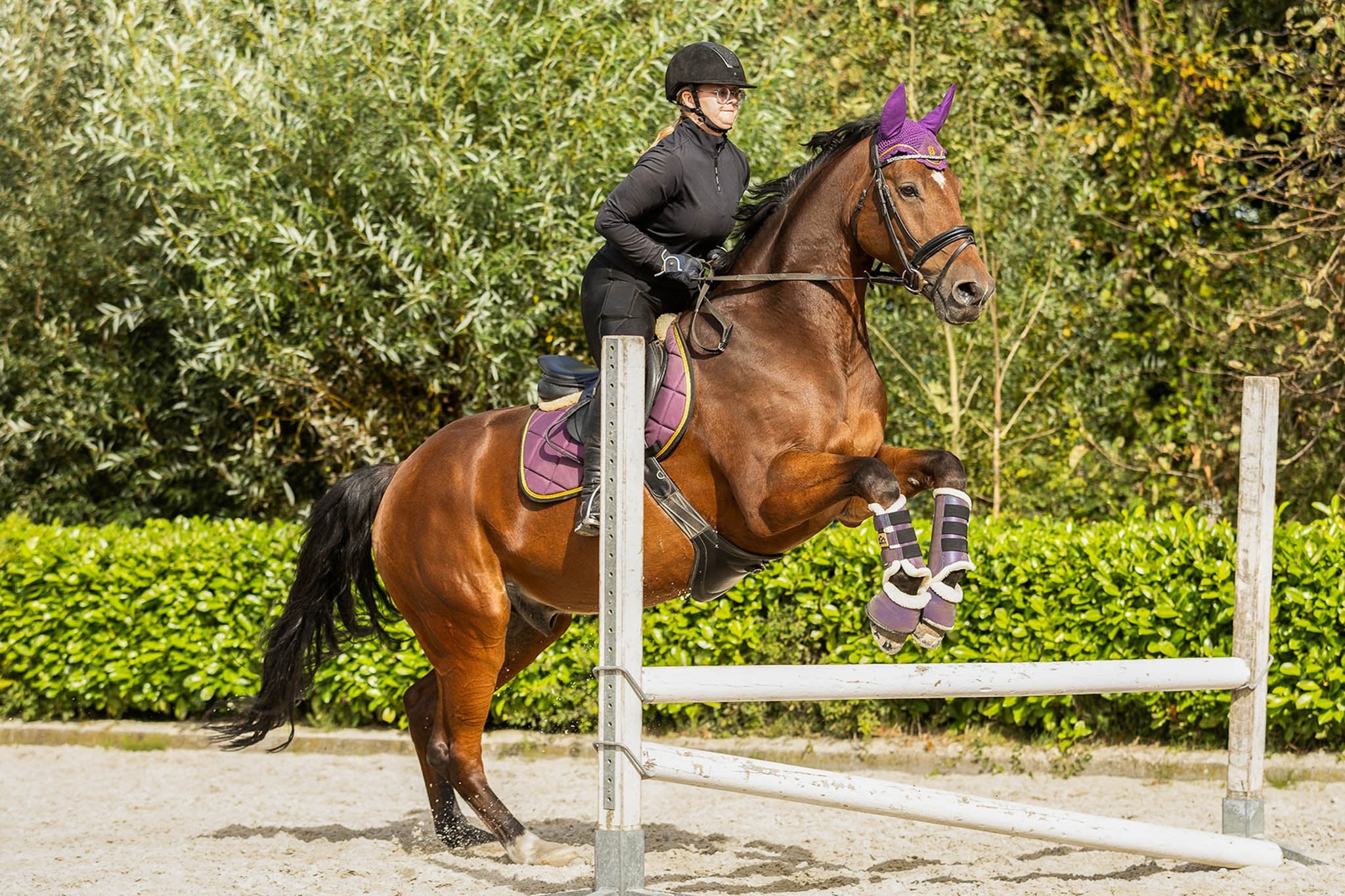 Equestroom Dark Orchid Saddle Pad Set - Equestroom - Equiluxe Tack