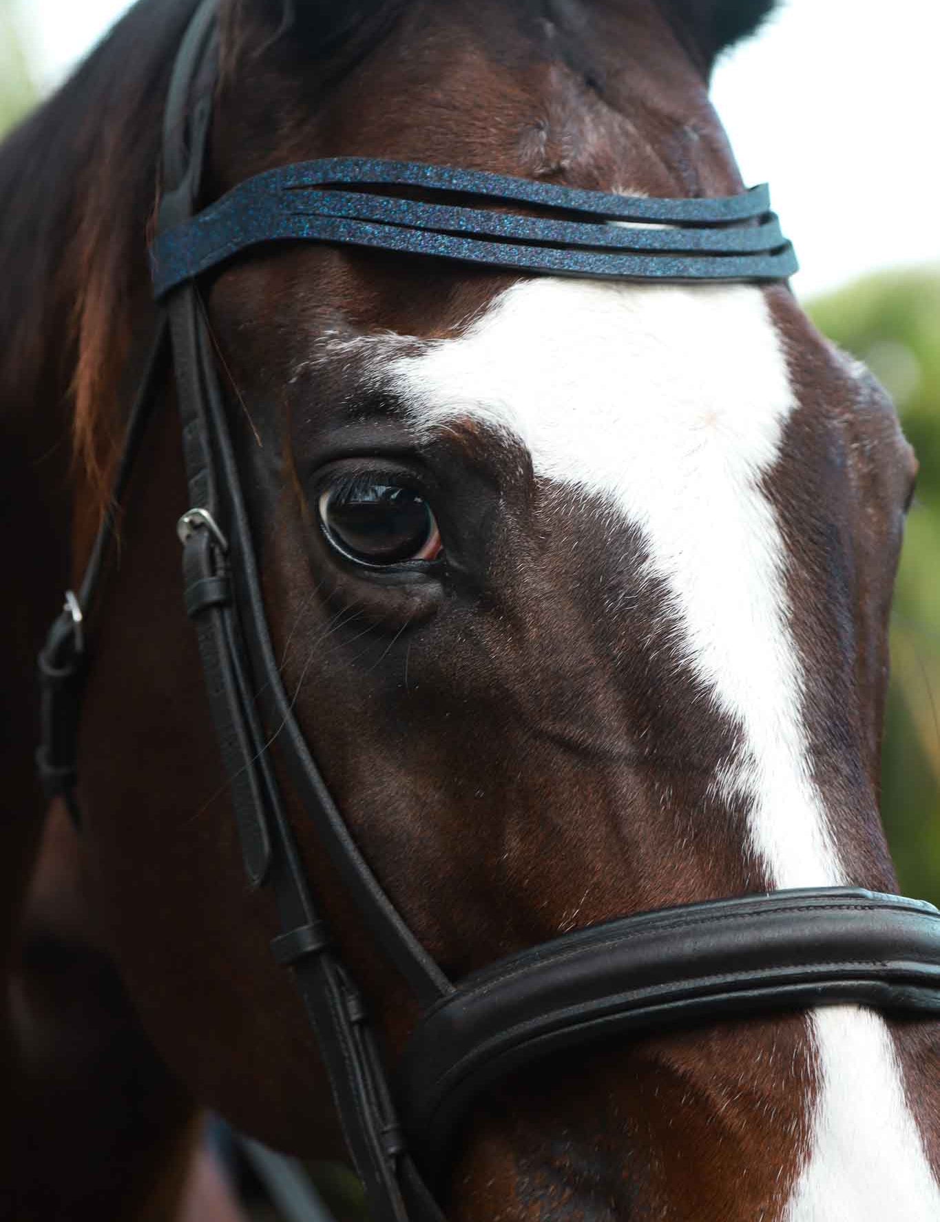 Equestroom Deep Sapphire Browband - Equestroom - Equiluxe Tack