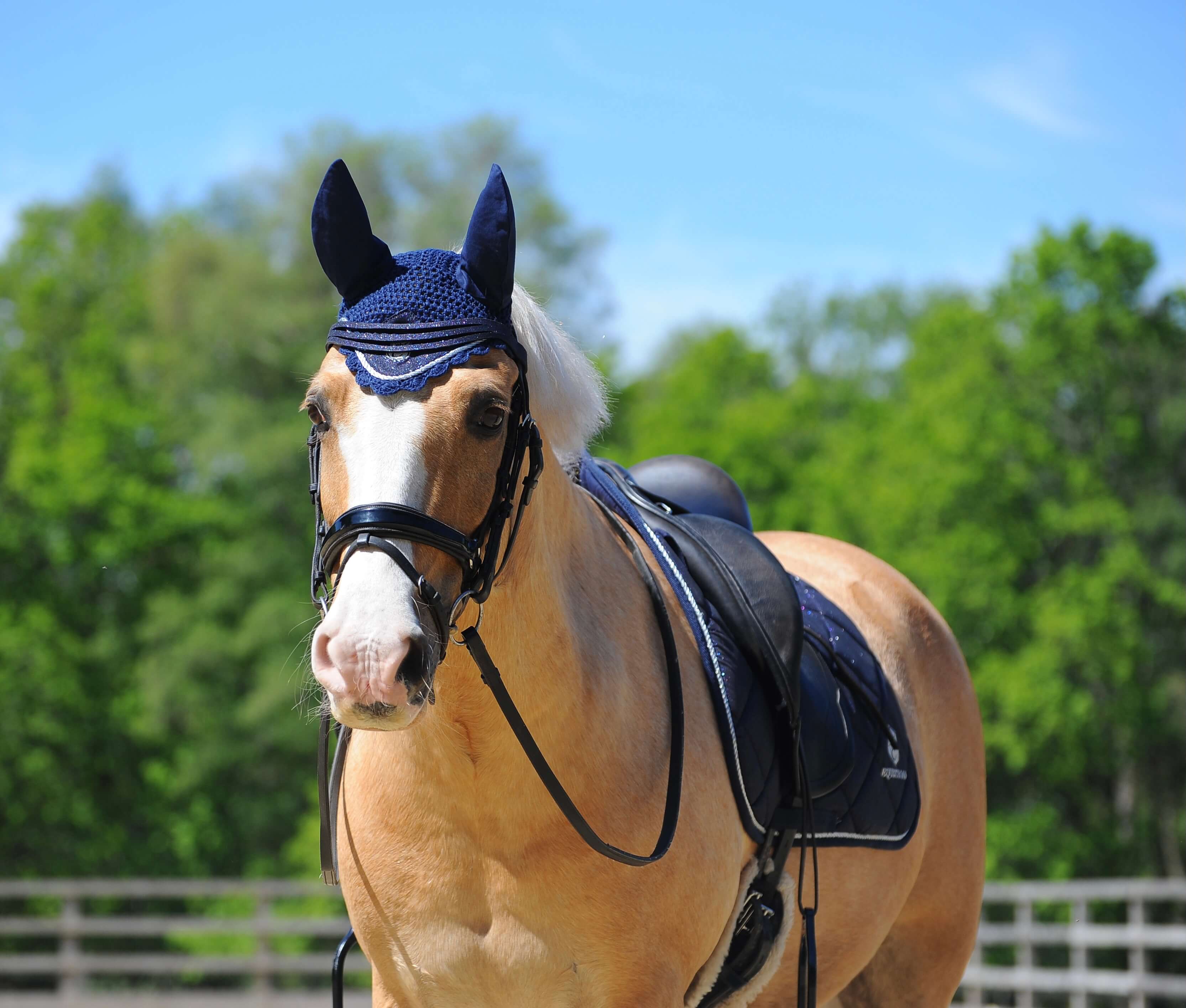 Equestroom Deep Sapphire Fly Hat - Equestroom - Equiluxe Tack