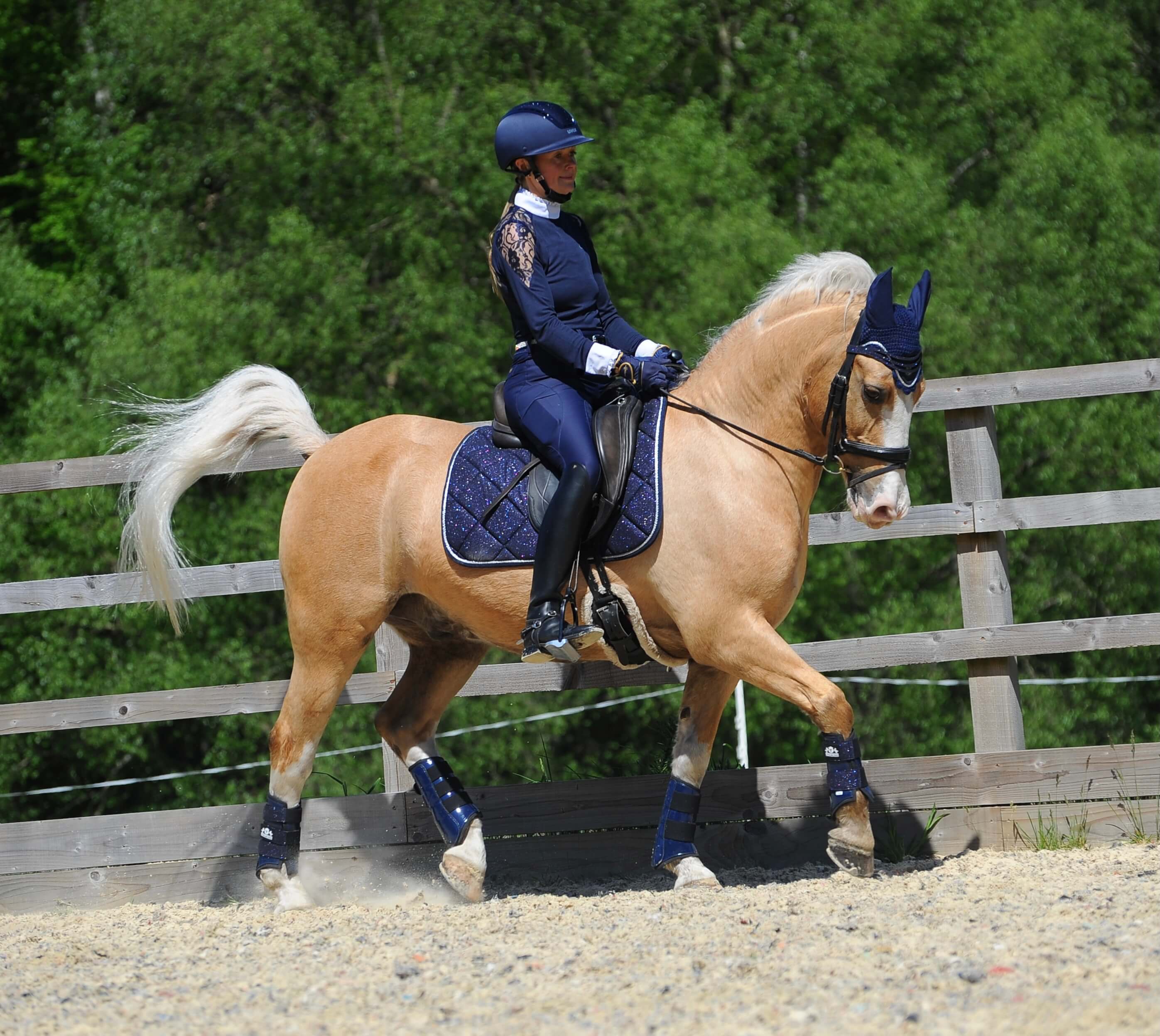 Equestroom Deep Sapphire Saddle Pad - Equestroom - Equiluxe Tack