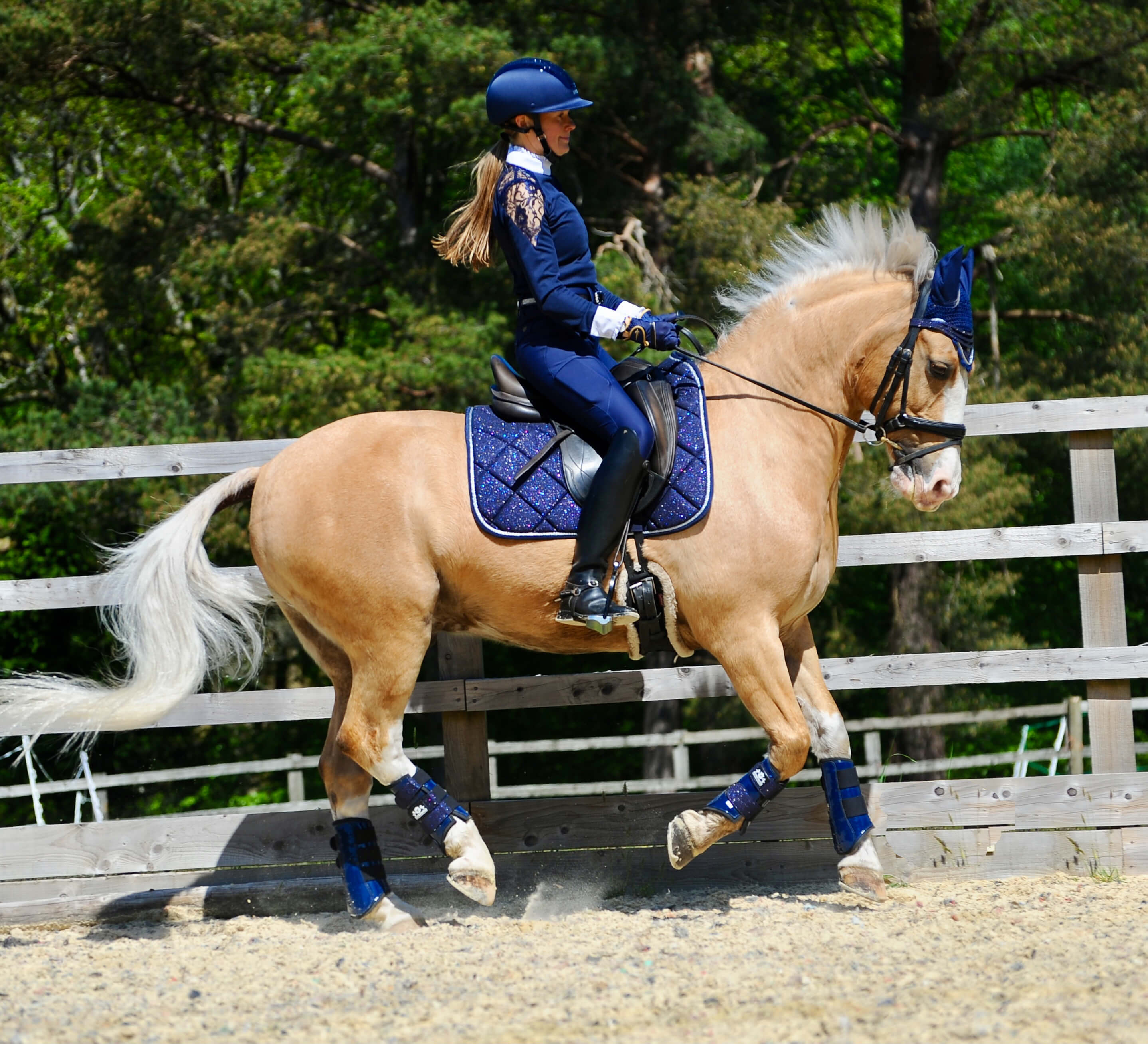 Equestroom Deep Sapphire Saddle Pad - Equestroom - Equiluxe Tack