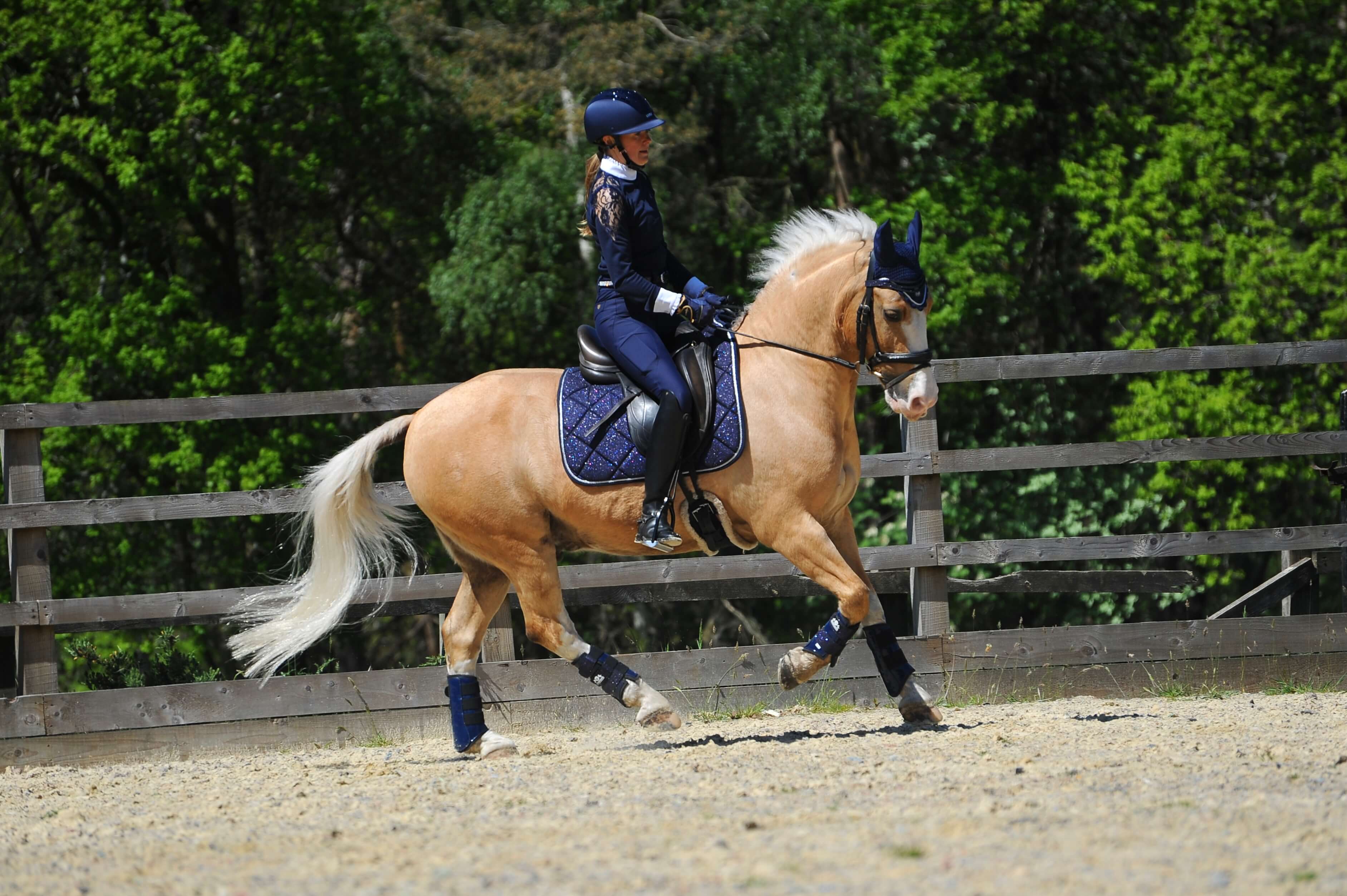 Equestroom Deep Sapphire Saddle Pad Set - Equestroom - Equiluxe Tack