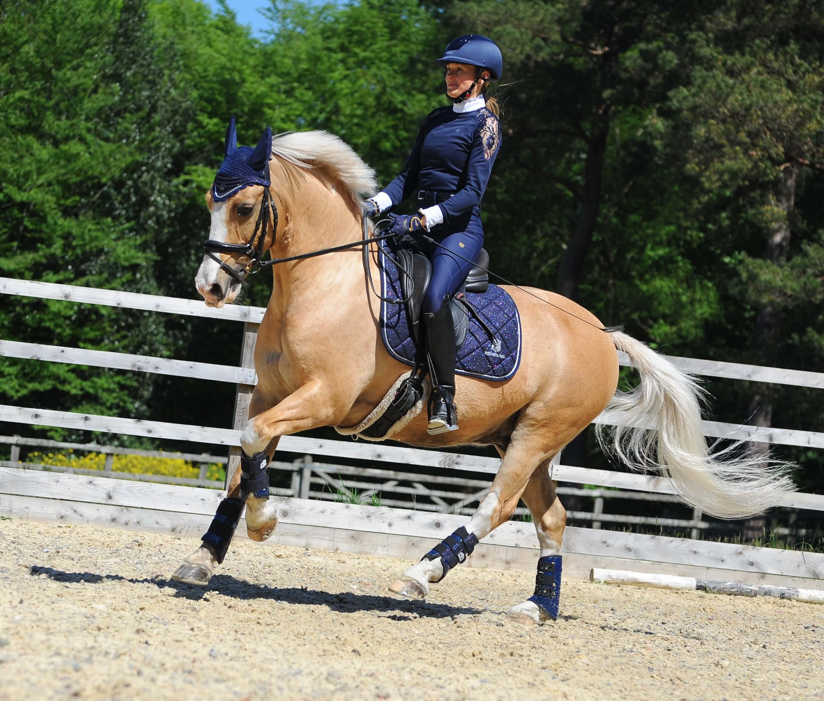 Equestroom Deep Sapphire Saddle Pad Set - Equestroom - Equiluxe Tack