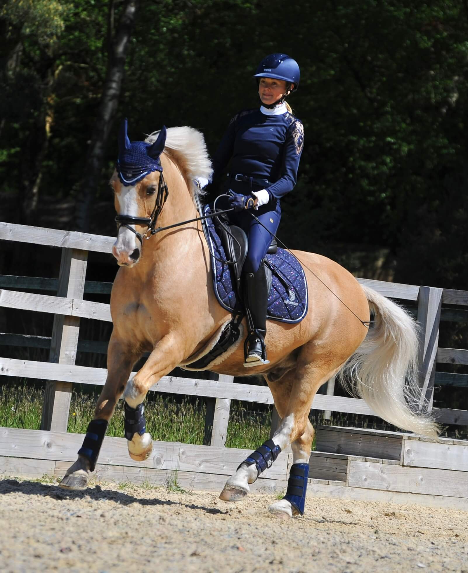 Equestroom Deep Sapphire Saddle Pad Set - Equestroom - Equiluxe Tack