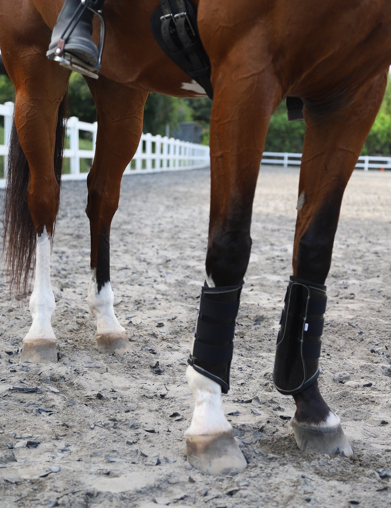 Equestroom Deep Sapphire Signature Brushing Boots - Equestroom - Equiluxe Tack