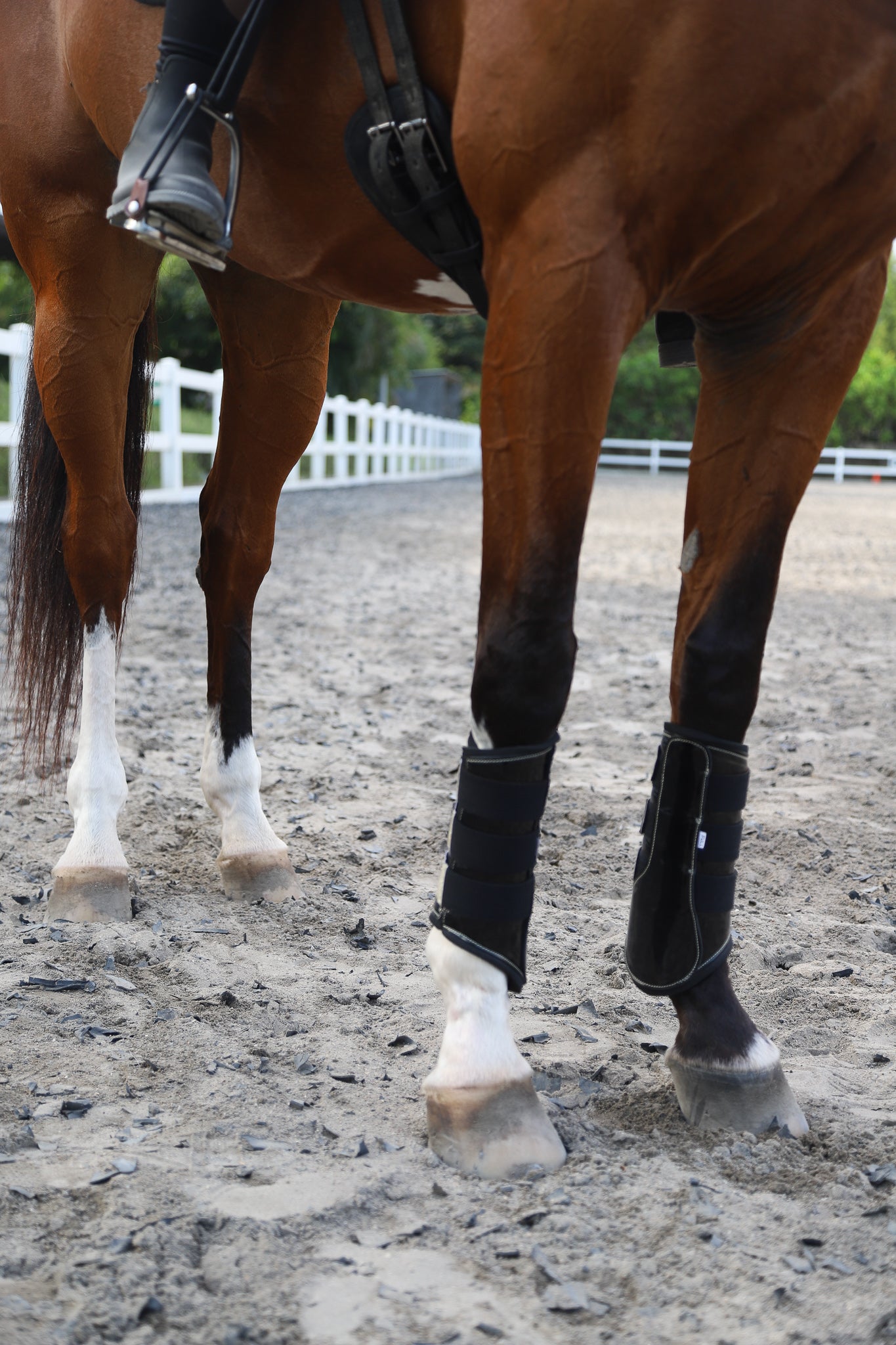 Equestroom Deep Sapphire Signature Brushing Boots - Equestroom - Equiluxe Tack