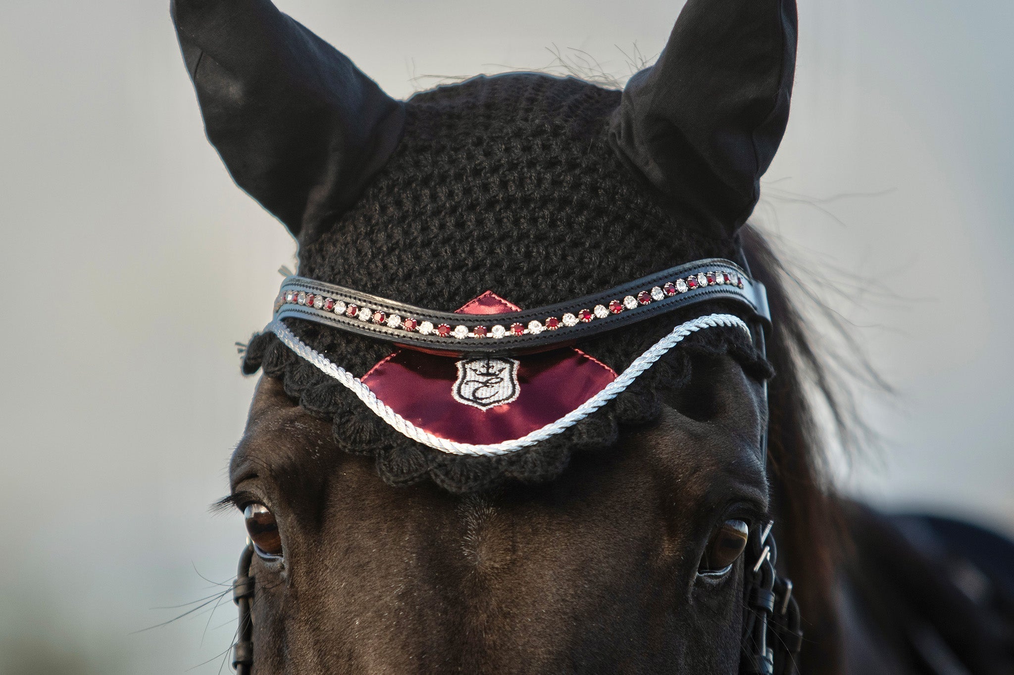 Equestroom Electric Red Browband - Equestroom - Equiluxe Tack