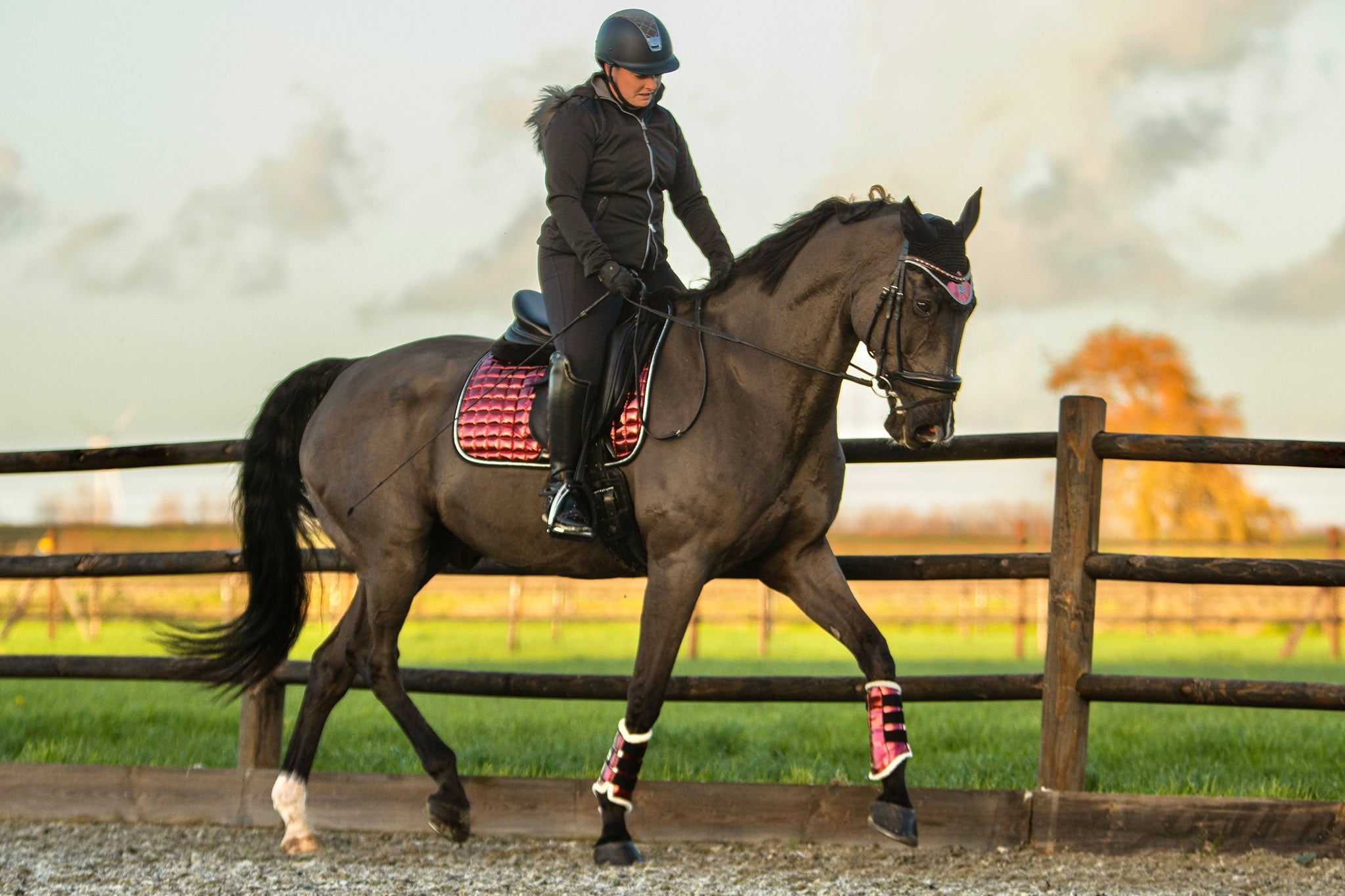 Equestroom Electric Red Brushing Boots - Equestroom - Equiluxe Tack