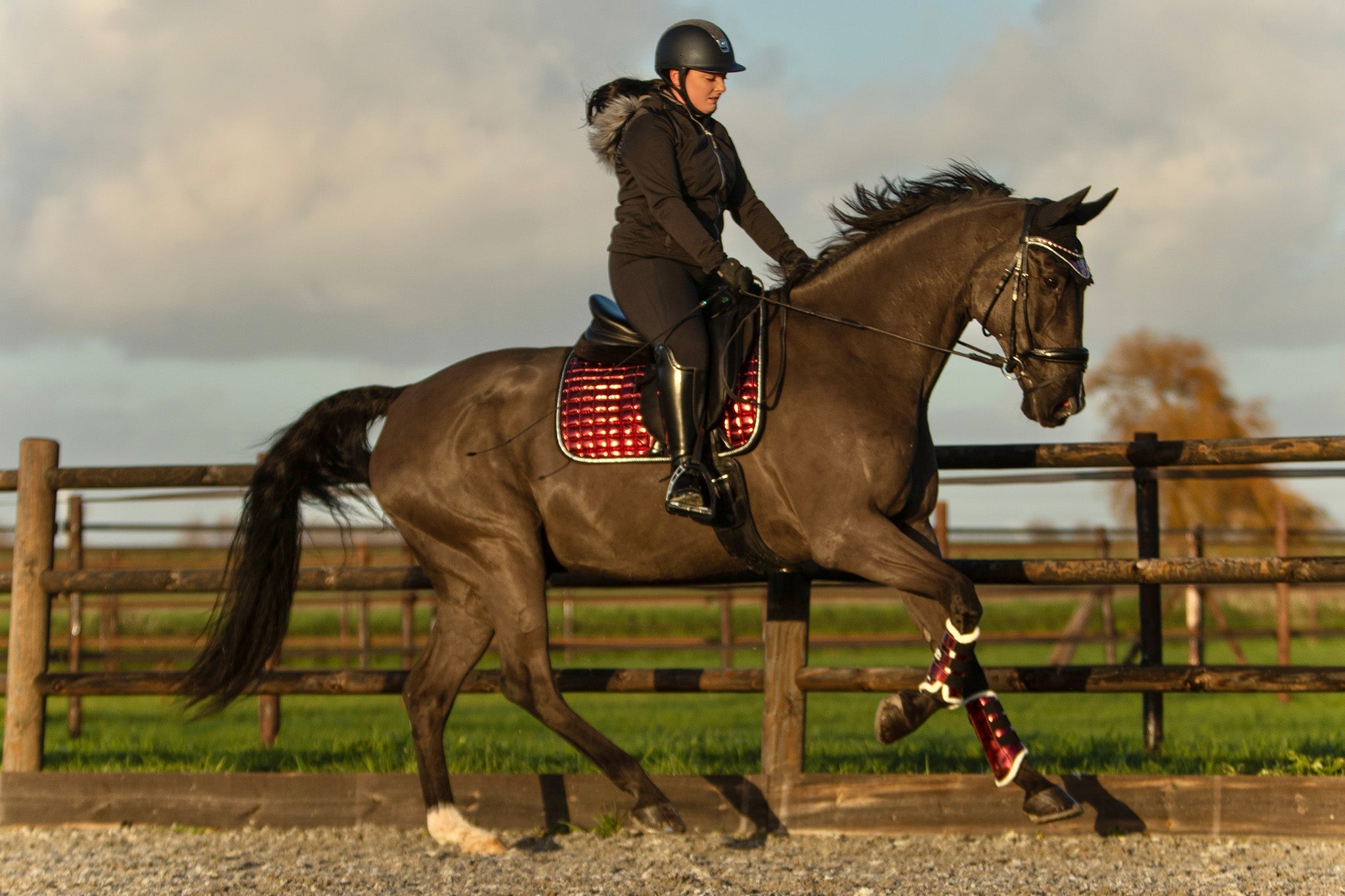 Equestroom Electric Red Brushing Boots - Equestroom - Equiluxe Tack