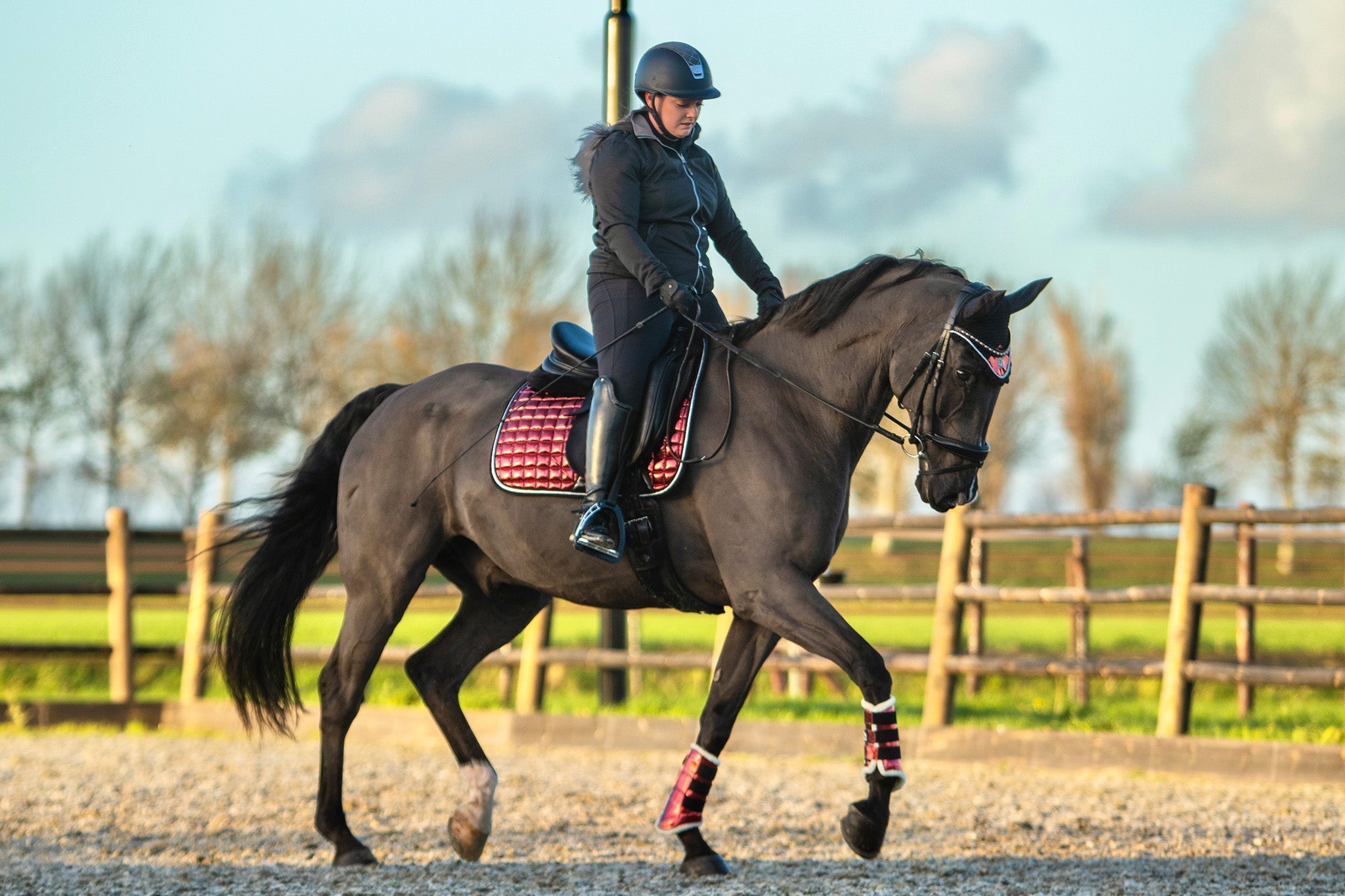 Equestroom Electric Red Brushing Boots - Equestroom - Equiluxe Tack