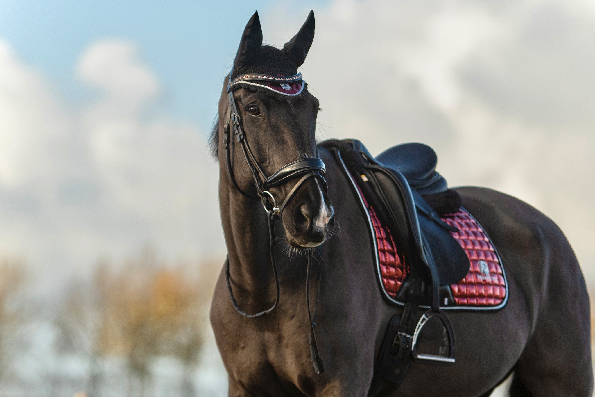 Equestroom Electric Red Saddle Pad - Equestroom - Equiluxe Tack