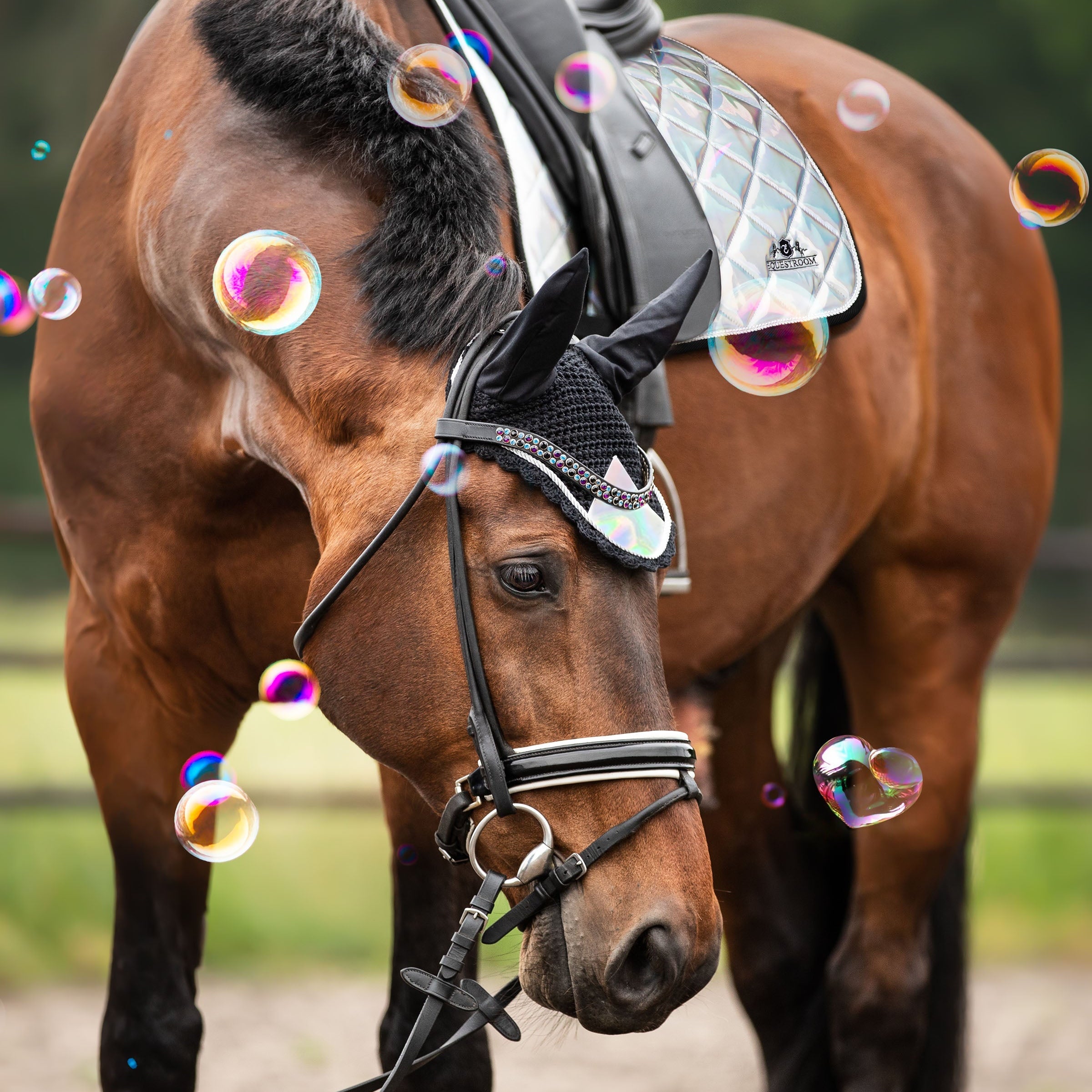 Equestroom Holographic Saddle Pad Set - Equestroom - Equiluxe Tack