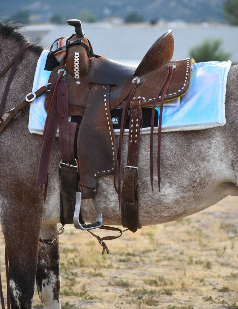 Equestroom Holographic Western Pad - Equestroom - Equiluxe Tack