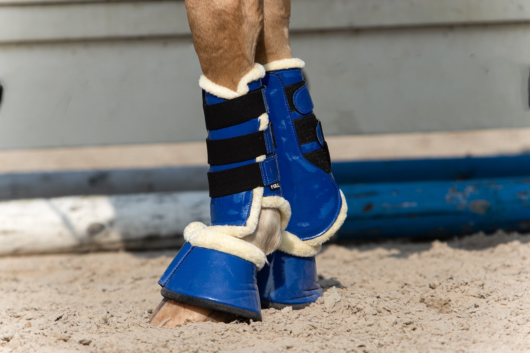 Equestroom Majorelle Blue Bell Boots - Equestroom - Equiluxe Tack