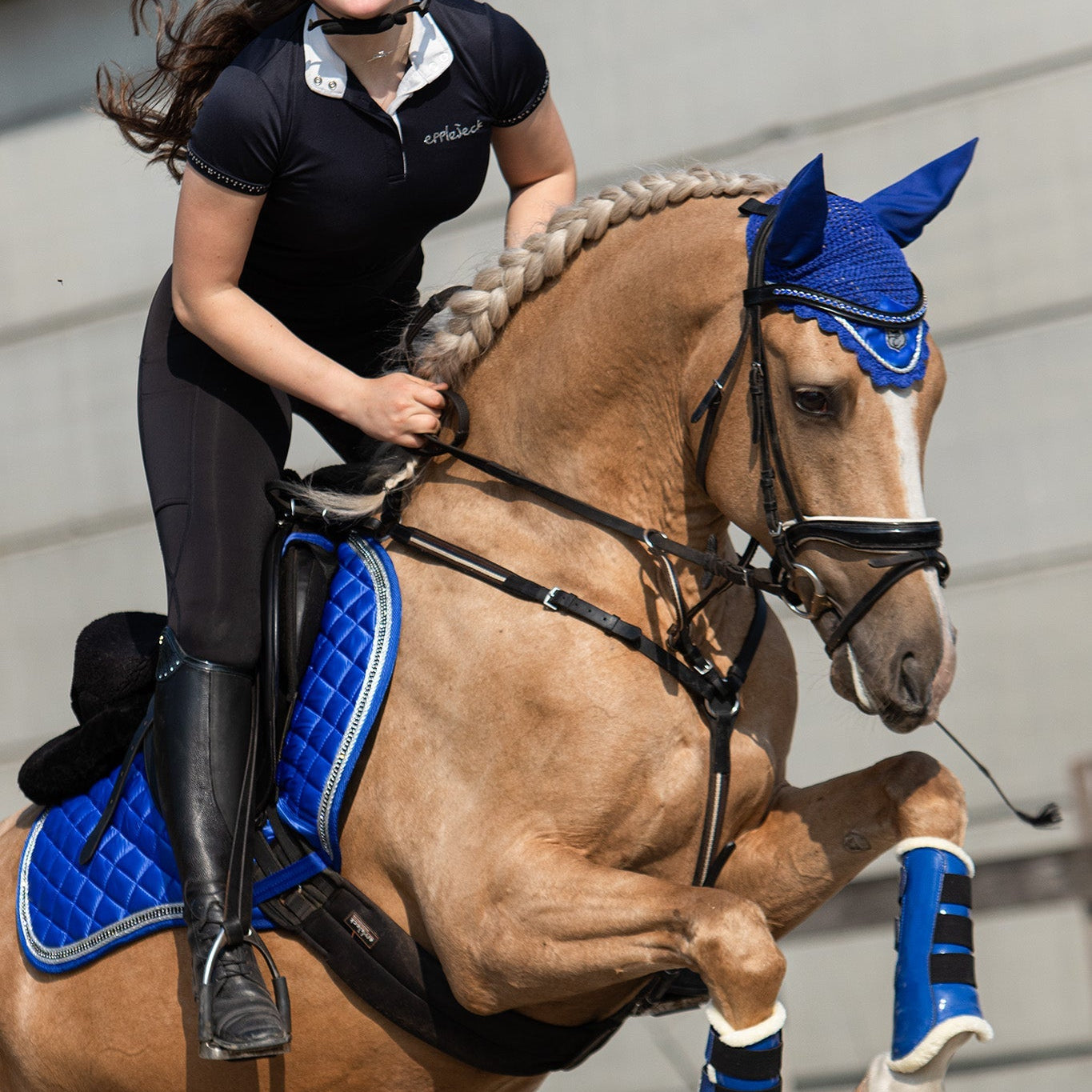 Equestroom Majorelle Blue Browband - Equestroom - Equiluxe Tack