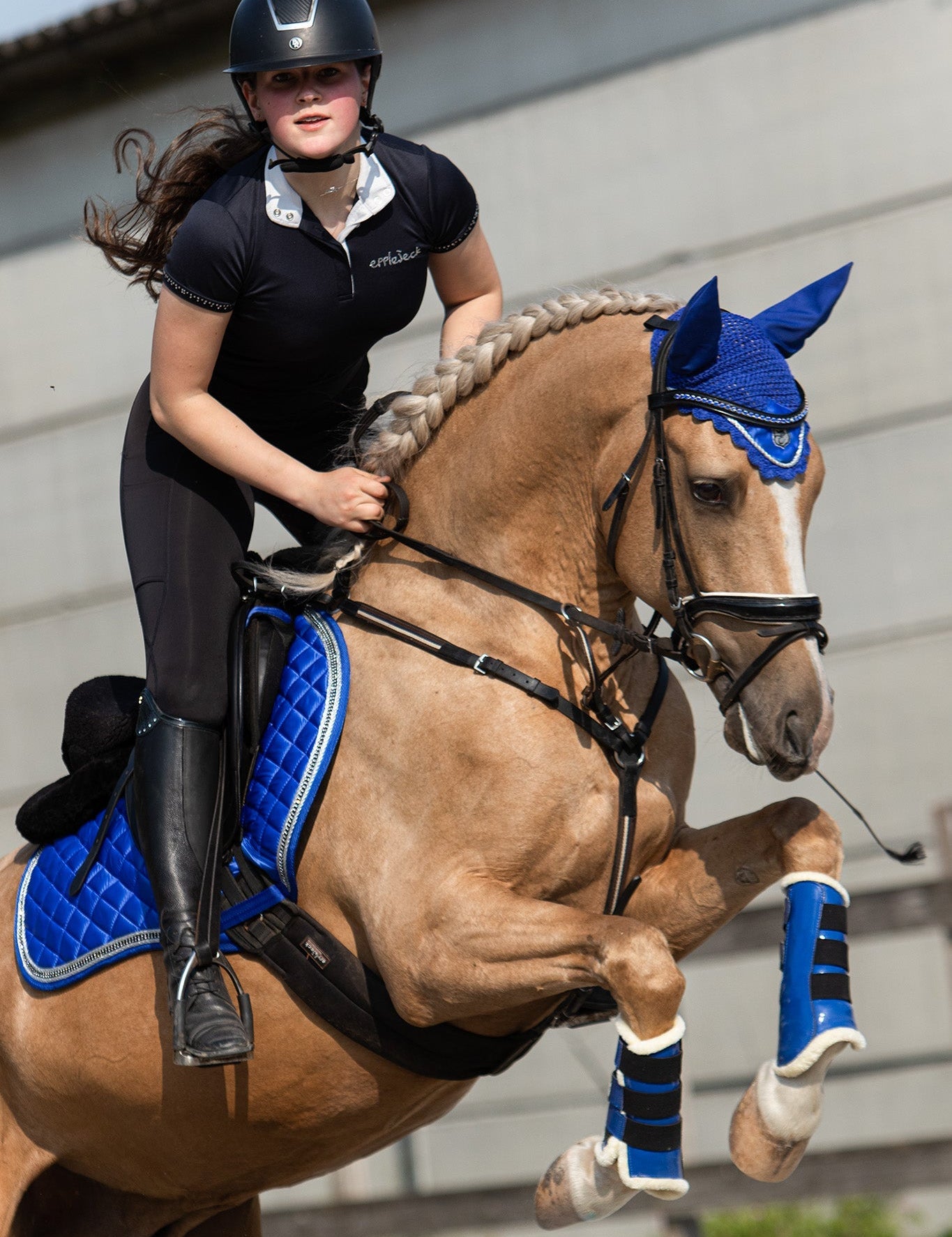 Equestroom Majorelle Blue Browband - Equestroom - Equiluxe Tack
