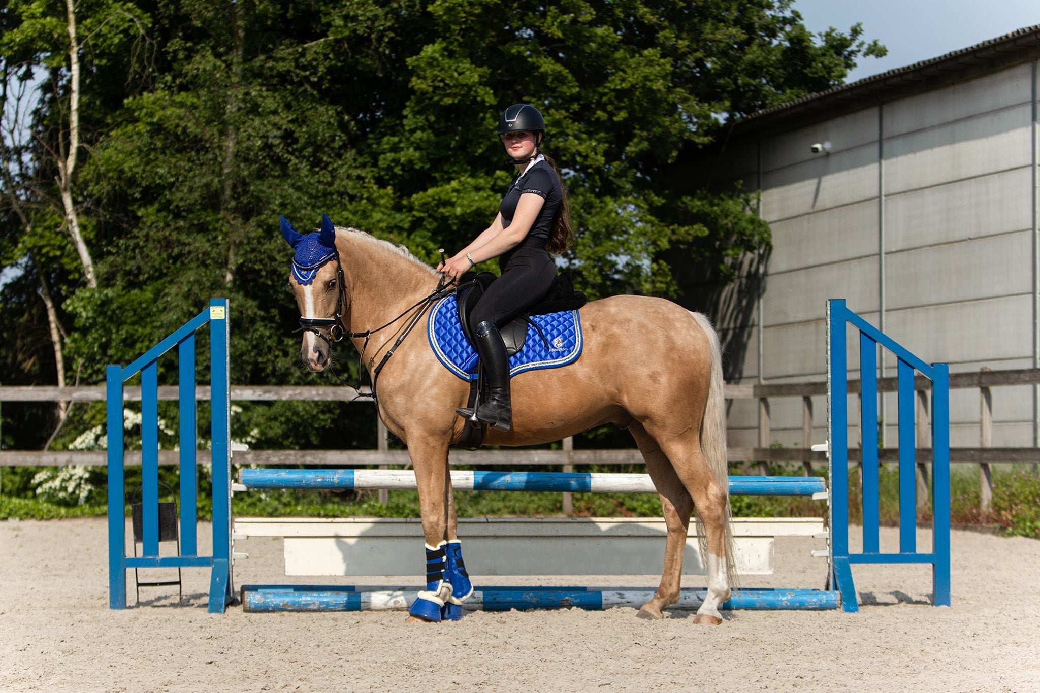 Equestroom Majorelle Blue Saddle Pad - Equestroom - Equiluxe Tack