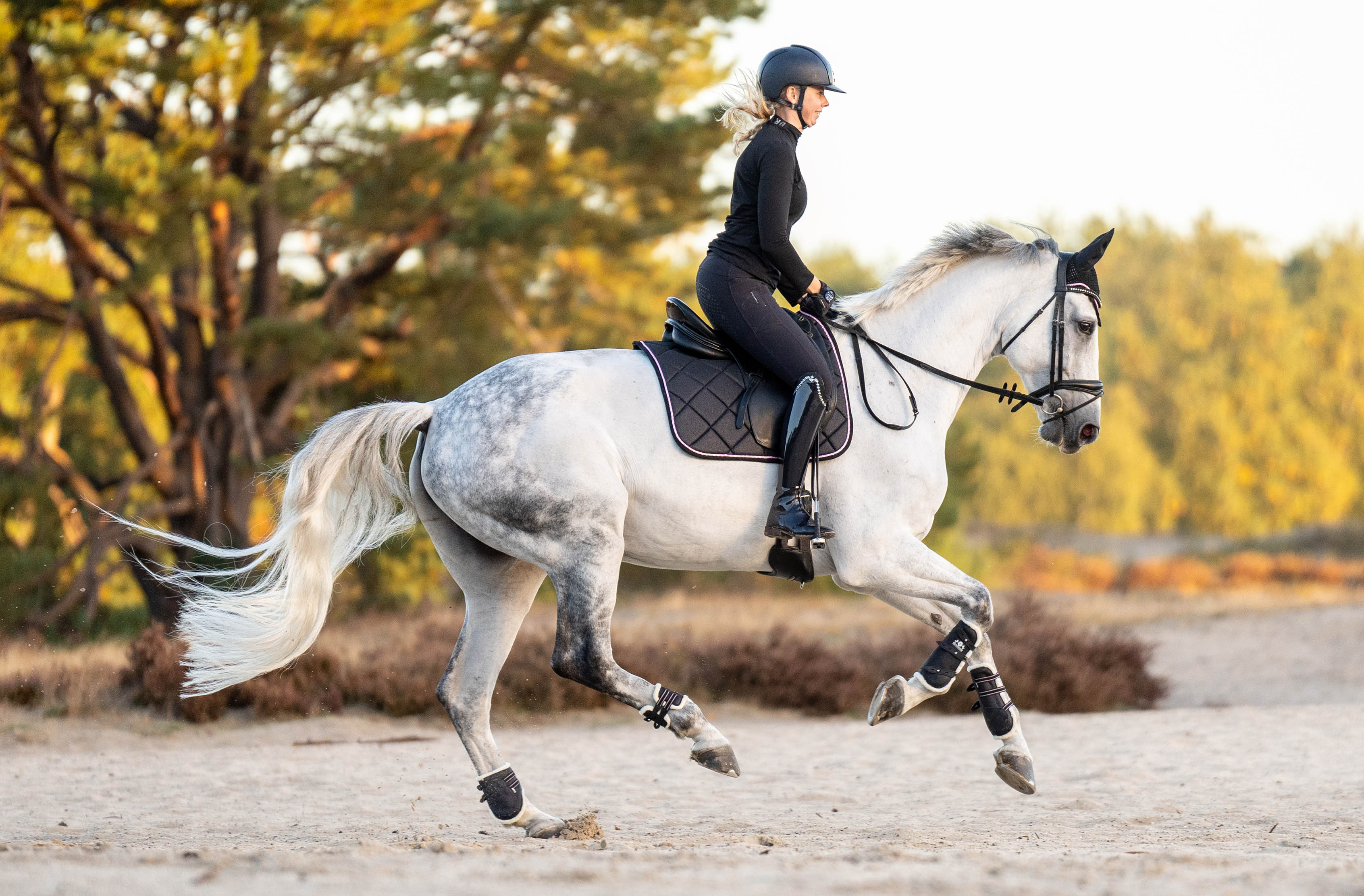 Equestroom Midnight Black Saddle Pad - Equestroom - Equiluxe Tack