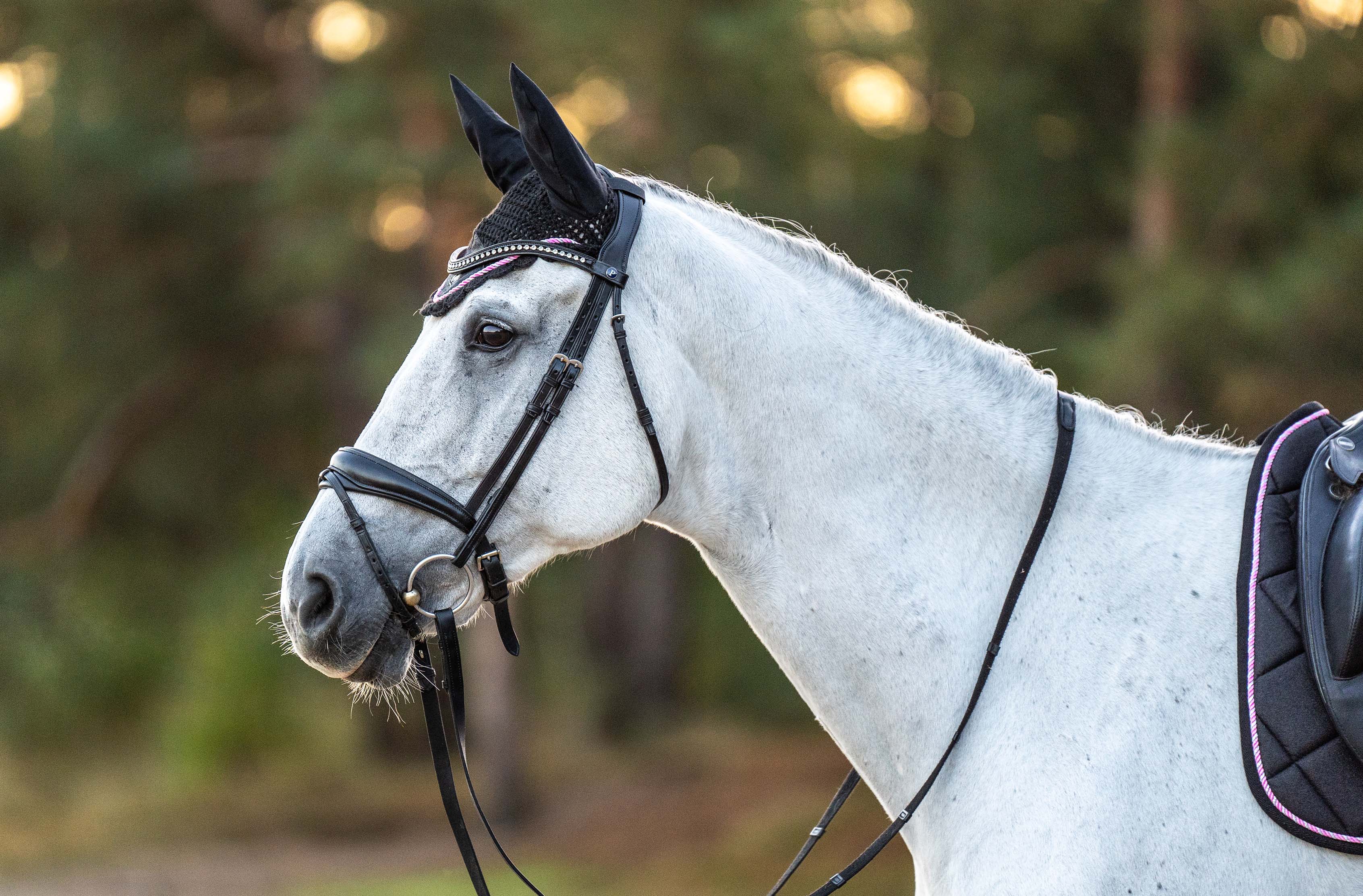 Equestroom Midnight Black Saddle Pad Set - Equestroom - Equiluxe Tack