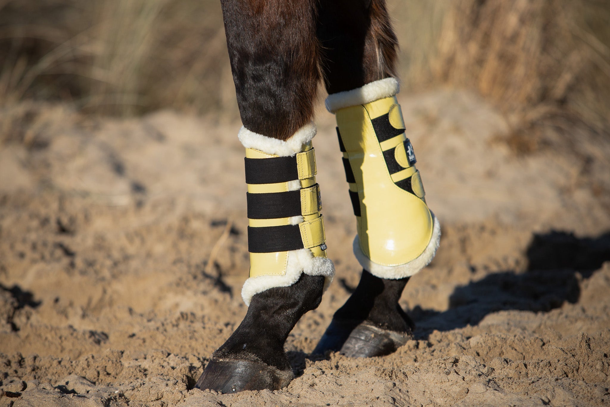 Equestroom Mimosa Brushing Boots - Equestroom - Equiluxe Tack