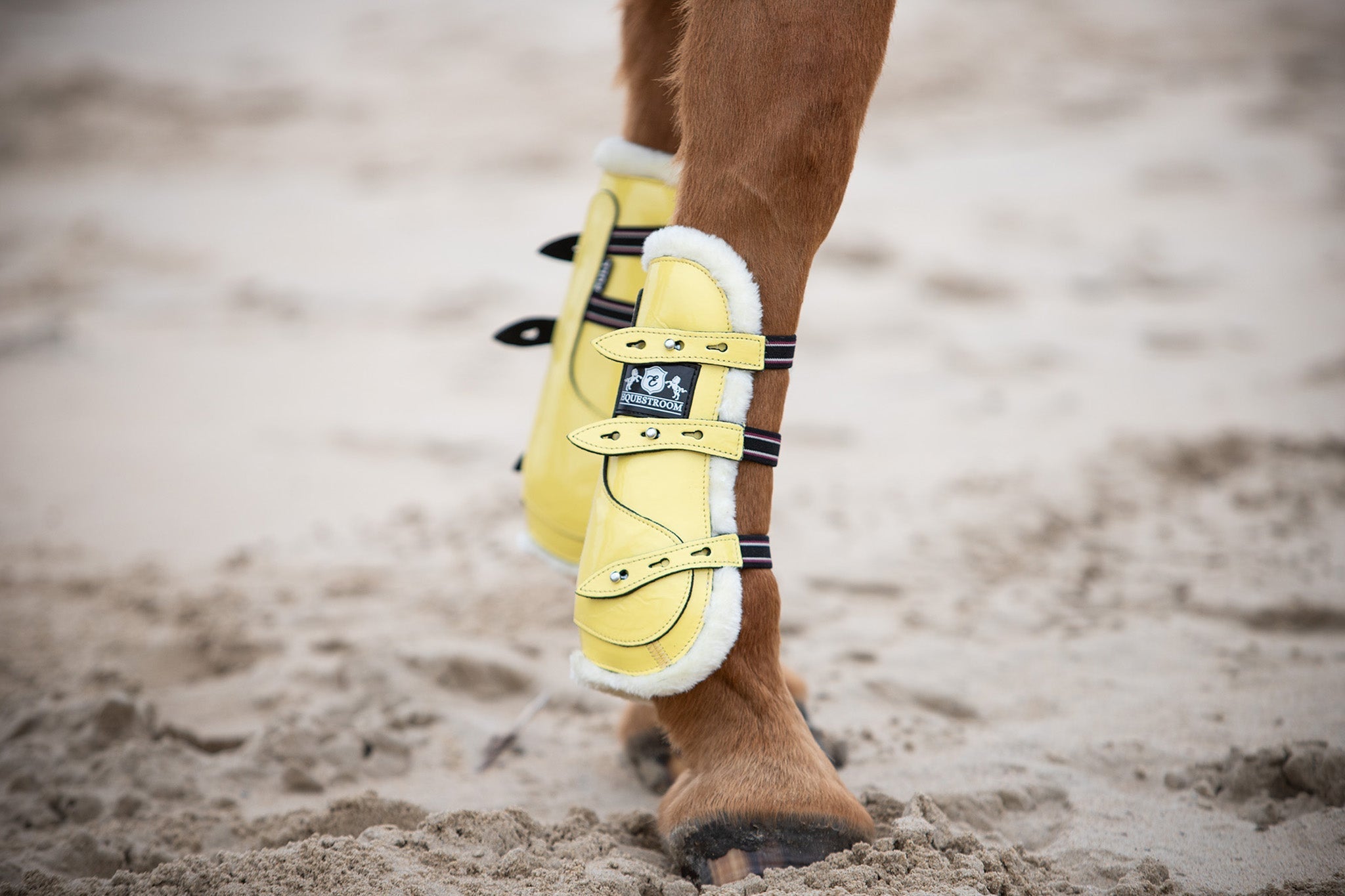Jumping Boots & Tendon Boots for Horses – Equiluxe Tack