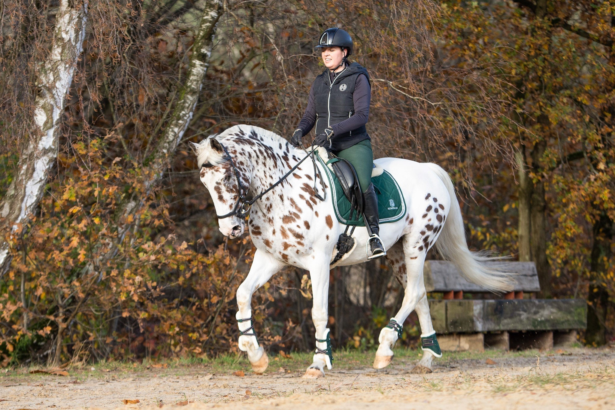 Equestroom Pine Grove Open - front Boots - Equestroom - Equiluxe Tack