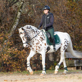 Equestroom Pine Grove Open - front Boots - Equestroom - Equiluxe Tack