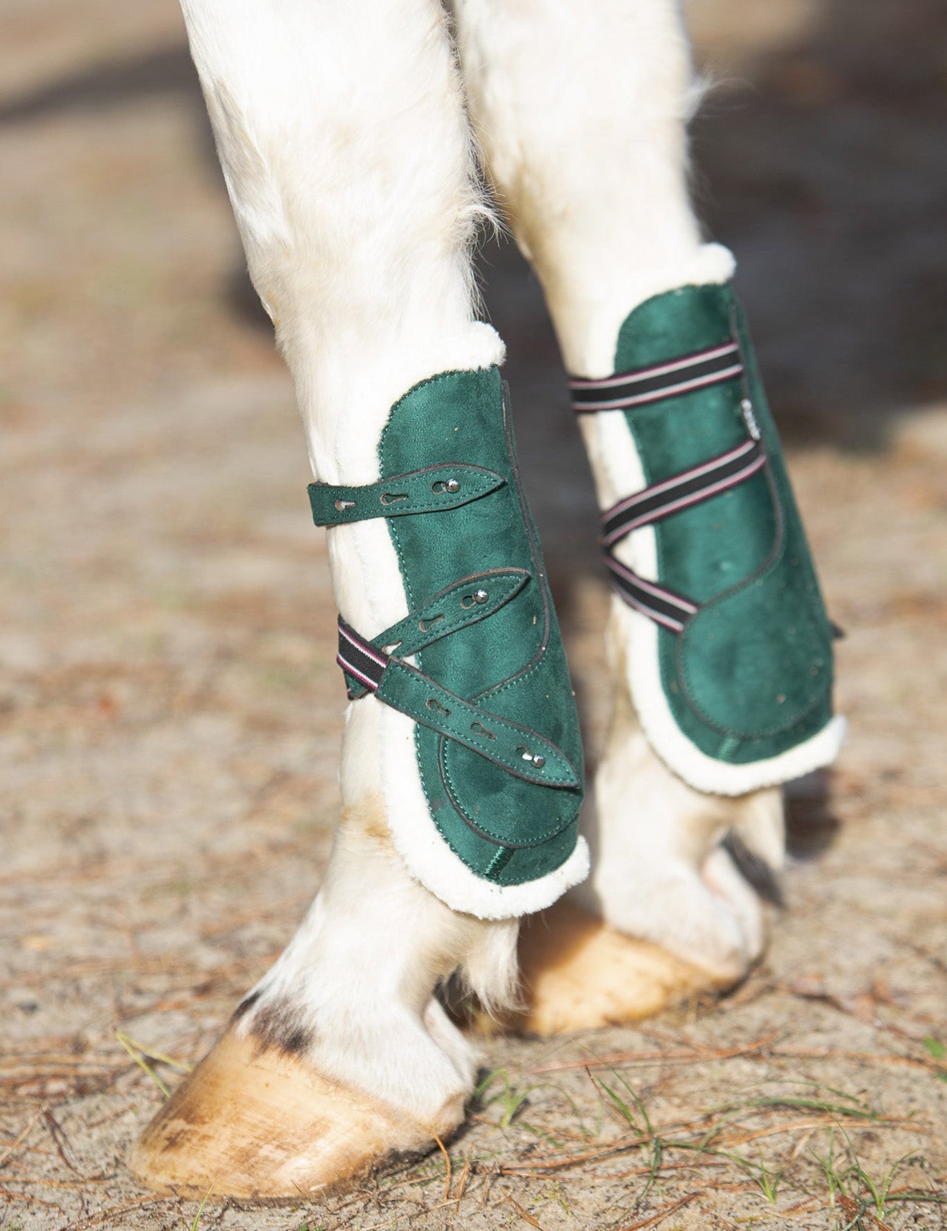 Equestroom Pine Grove Open - front Boots - Equestroom - Equiluxe Tack
