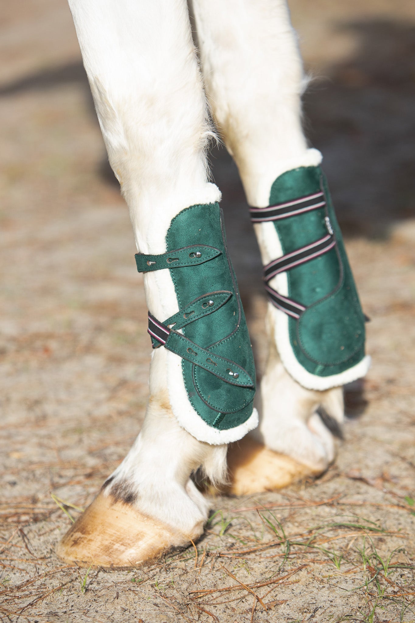 Equestroom Pine Grove Open - front Boots - Equestroom - Equiluxe Tack