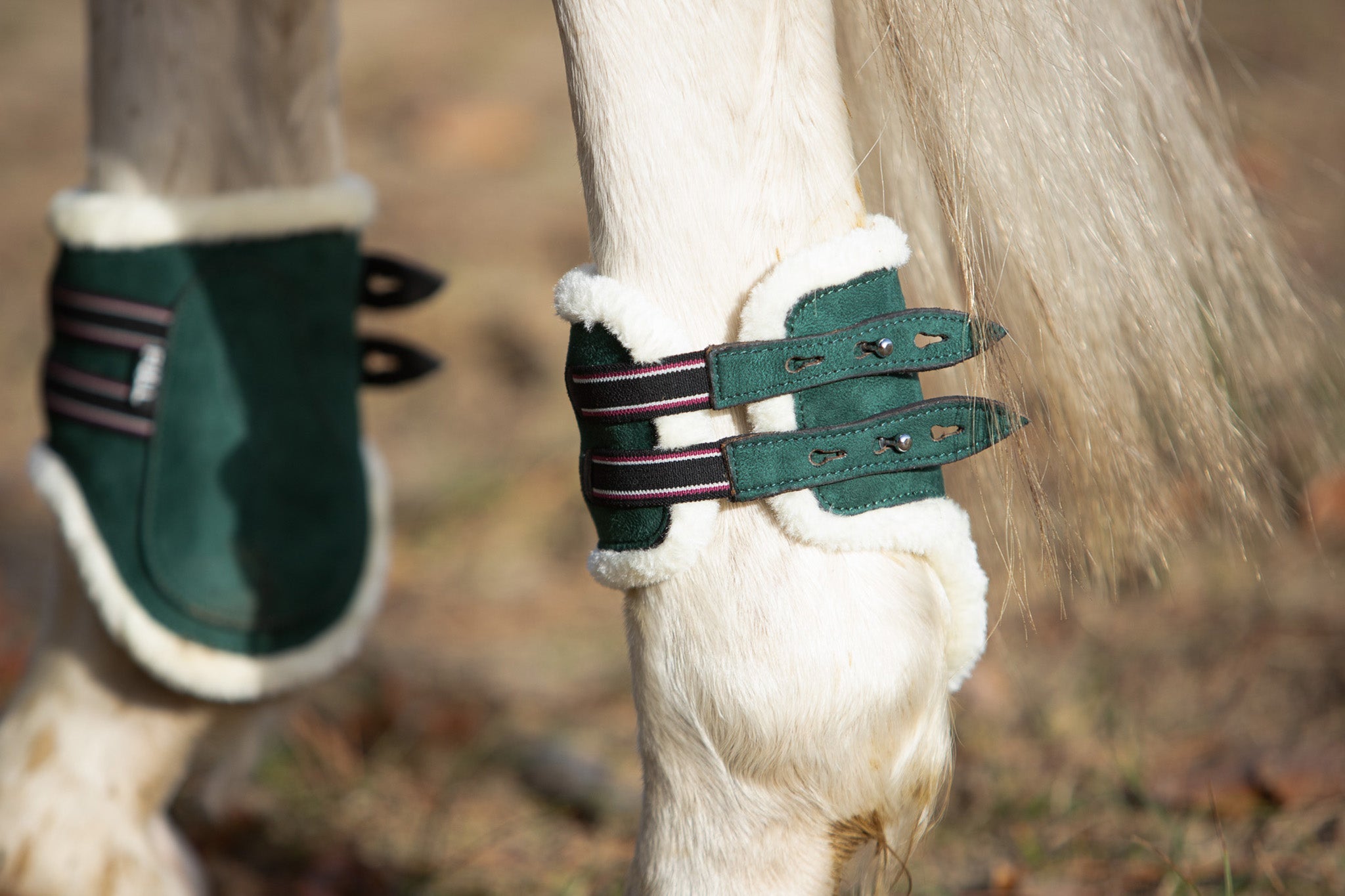 Equestroom Pine Grove Open - front Boots - Equestroom - Equiluxe Tack